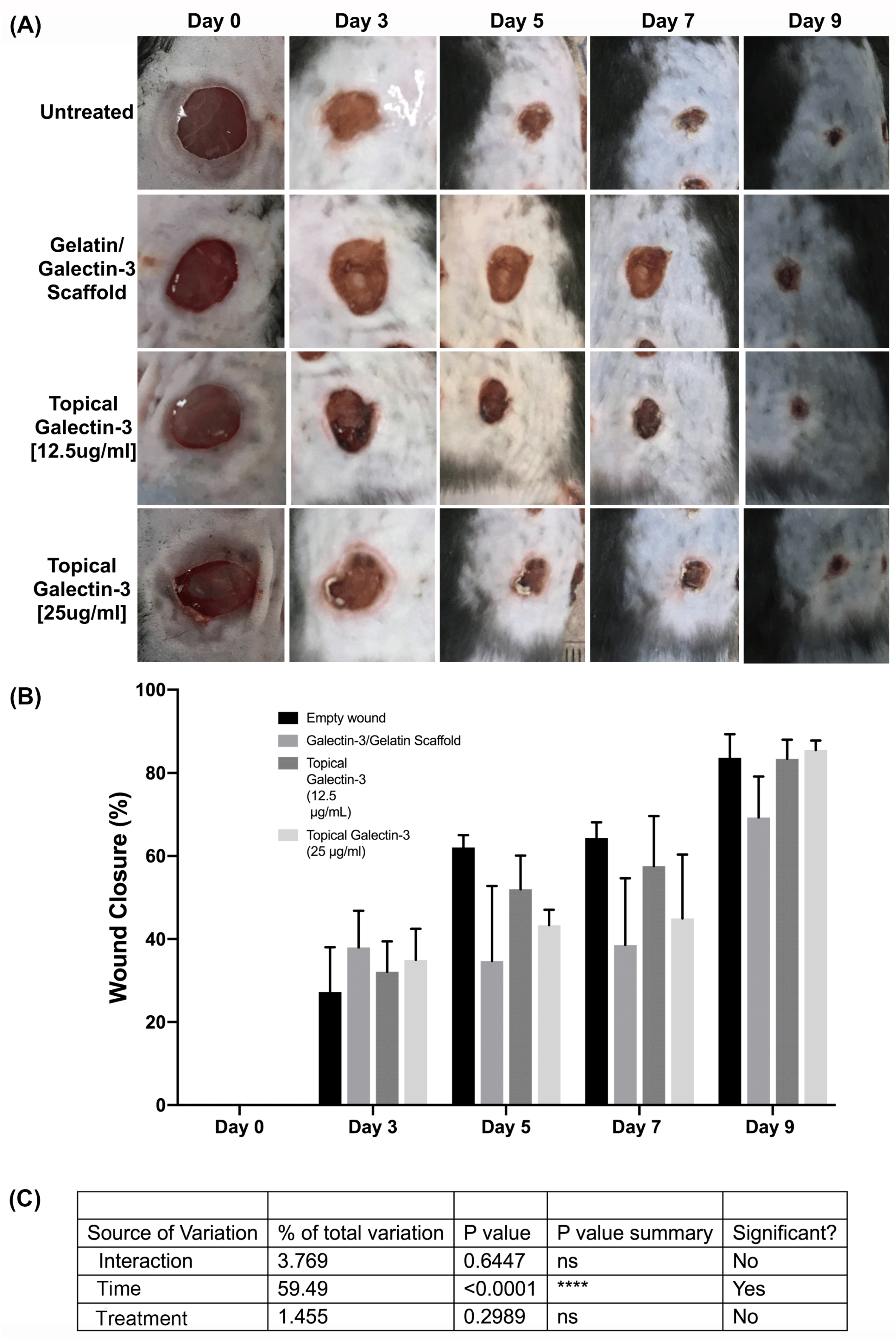 Preprints 115926 g010