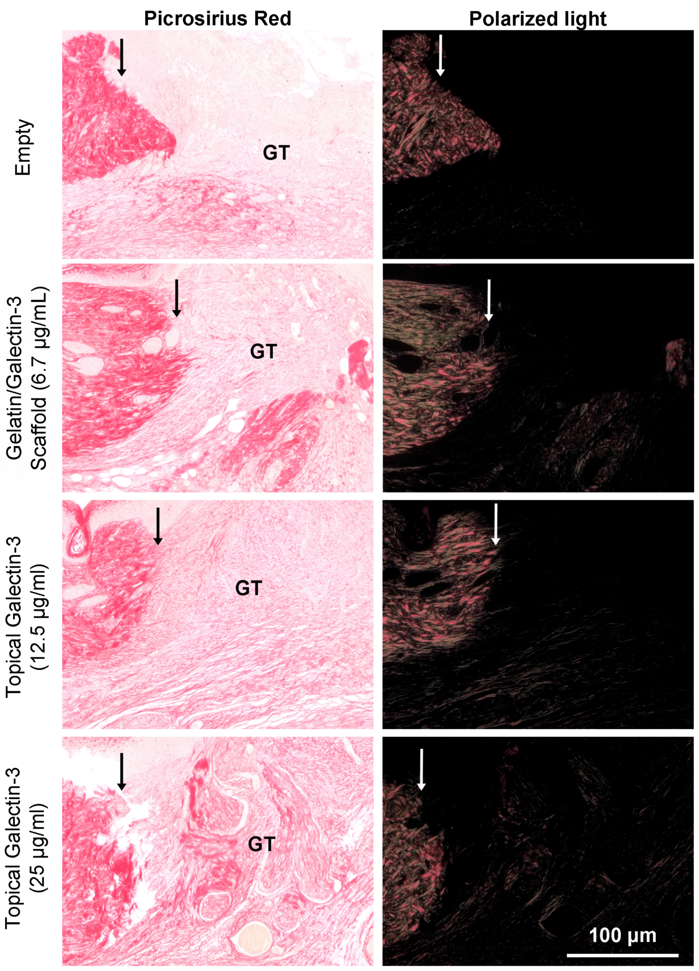 Preprints 115926 g012