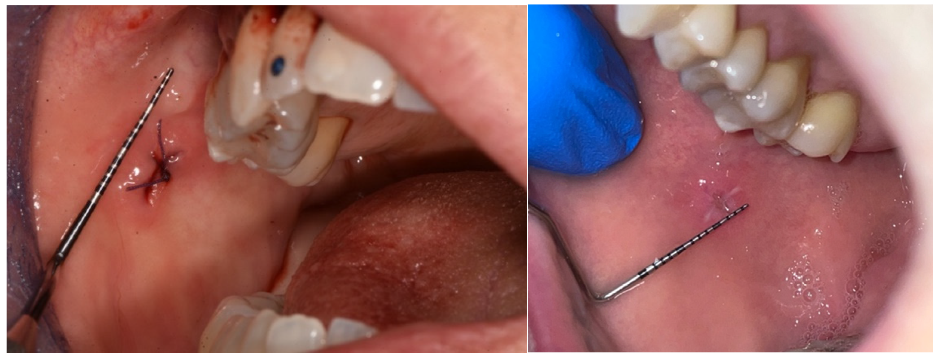 Preprints 145132 g005