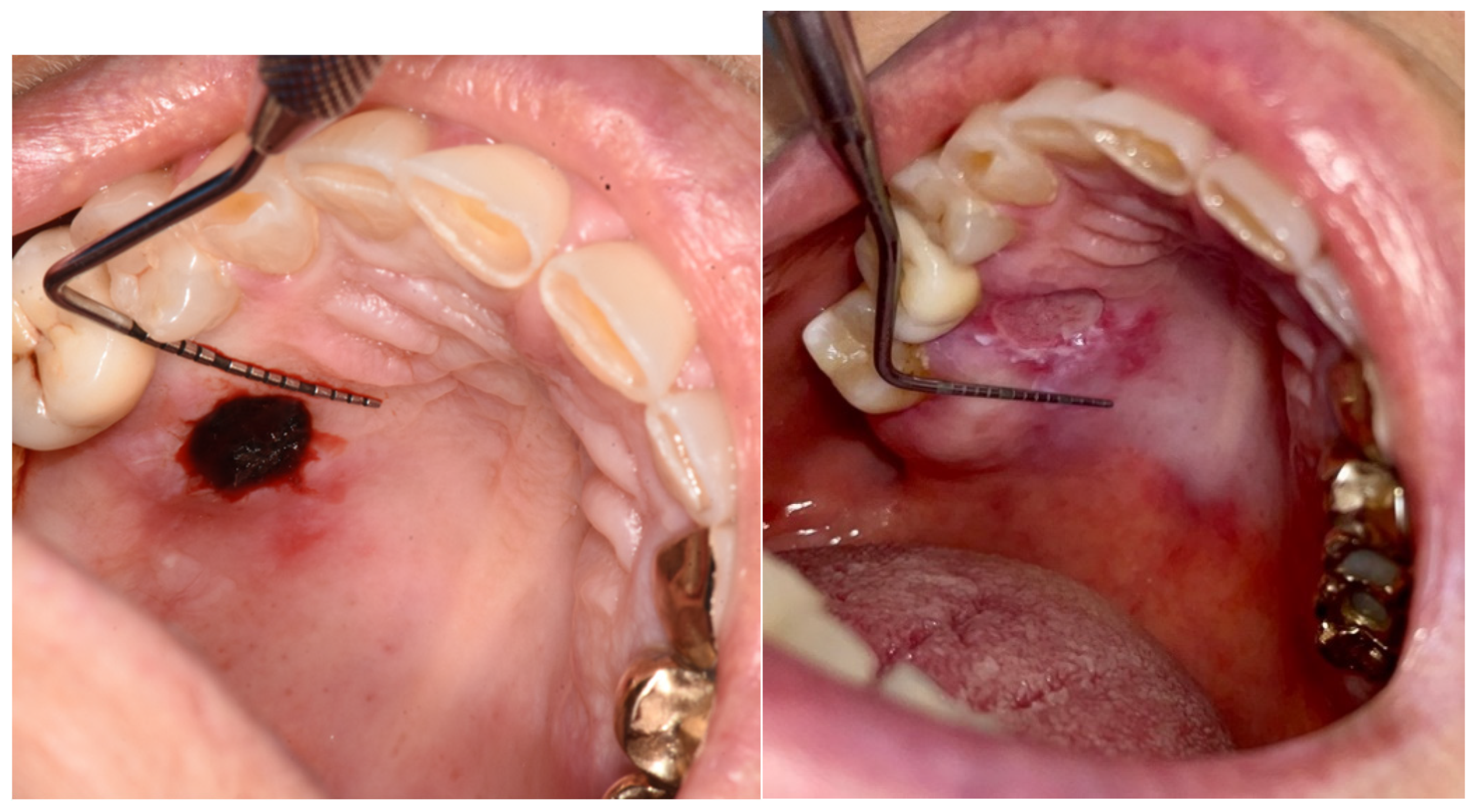 Preprints 145132 g006