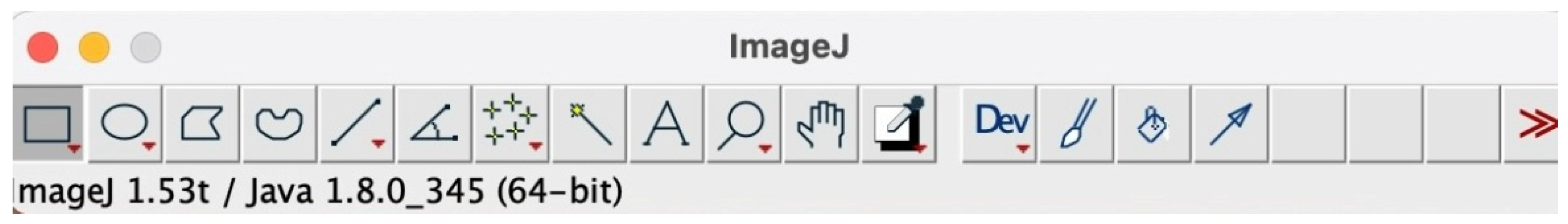 Preprints 145132 g007