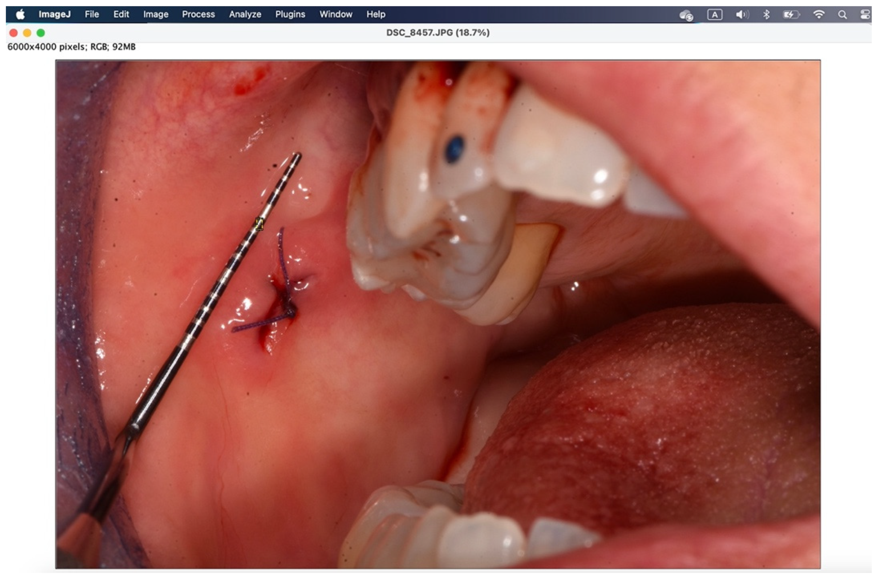 Preprints 145132 g008