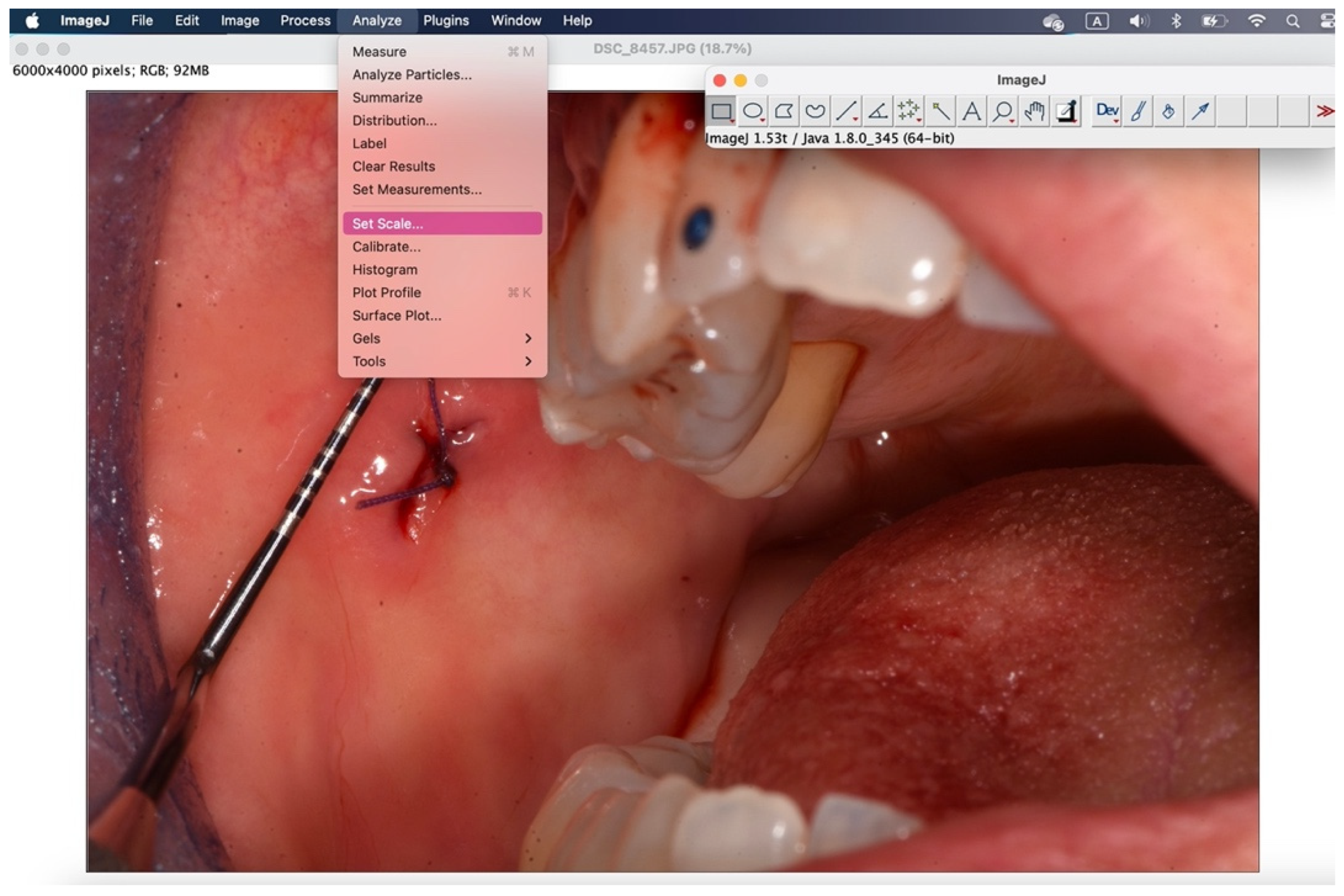 Preprints 145132 g009