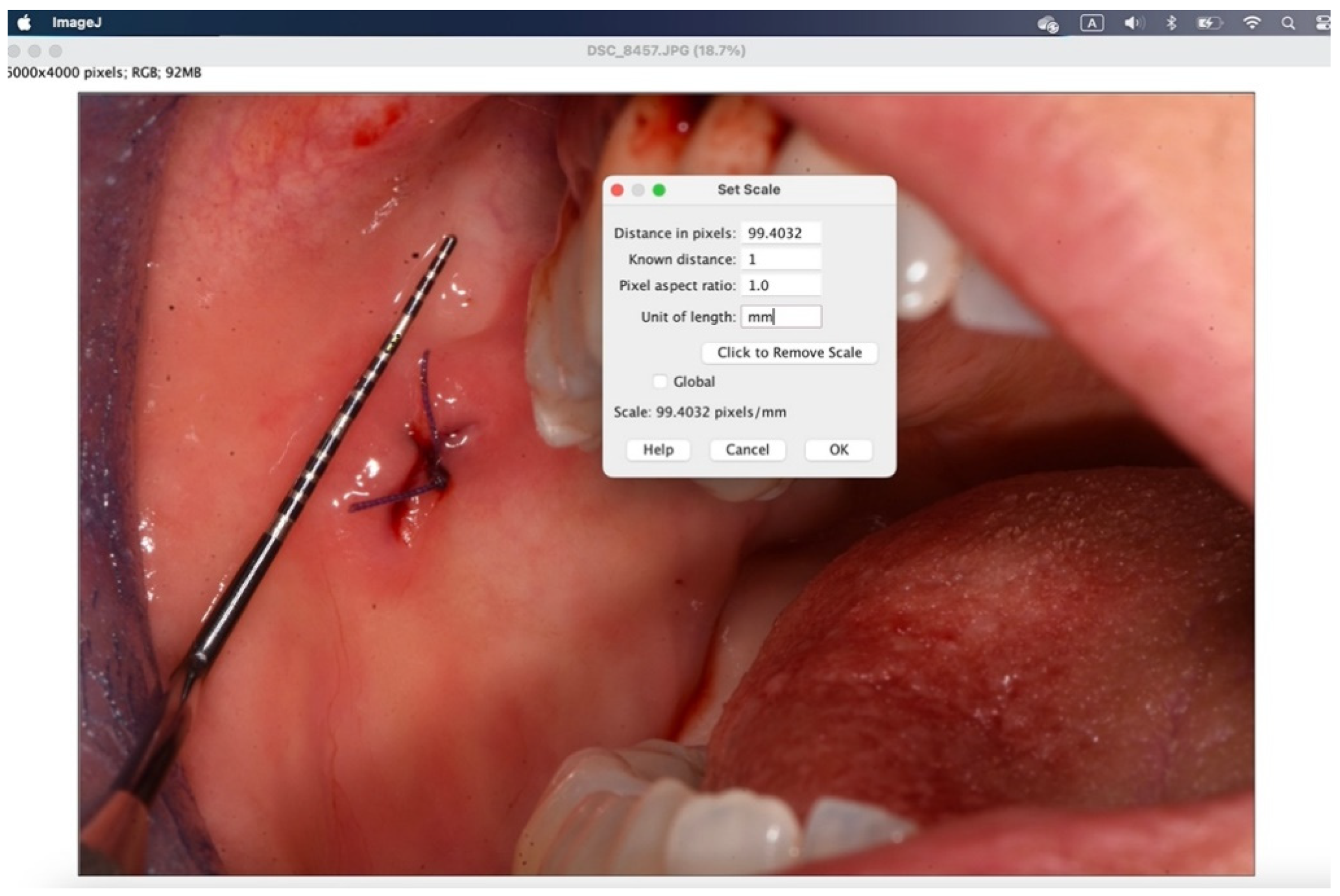 Preprints 145132 g010