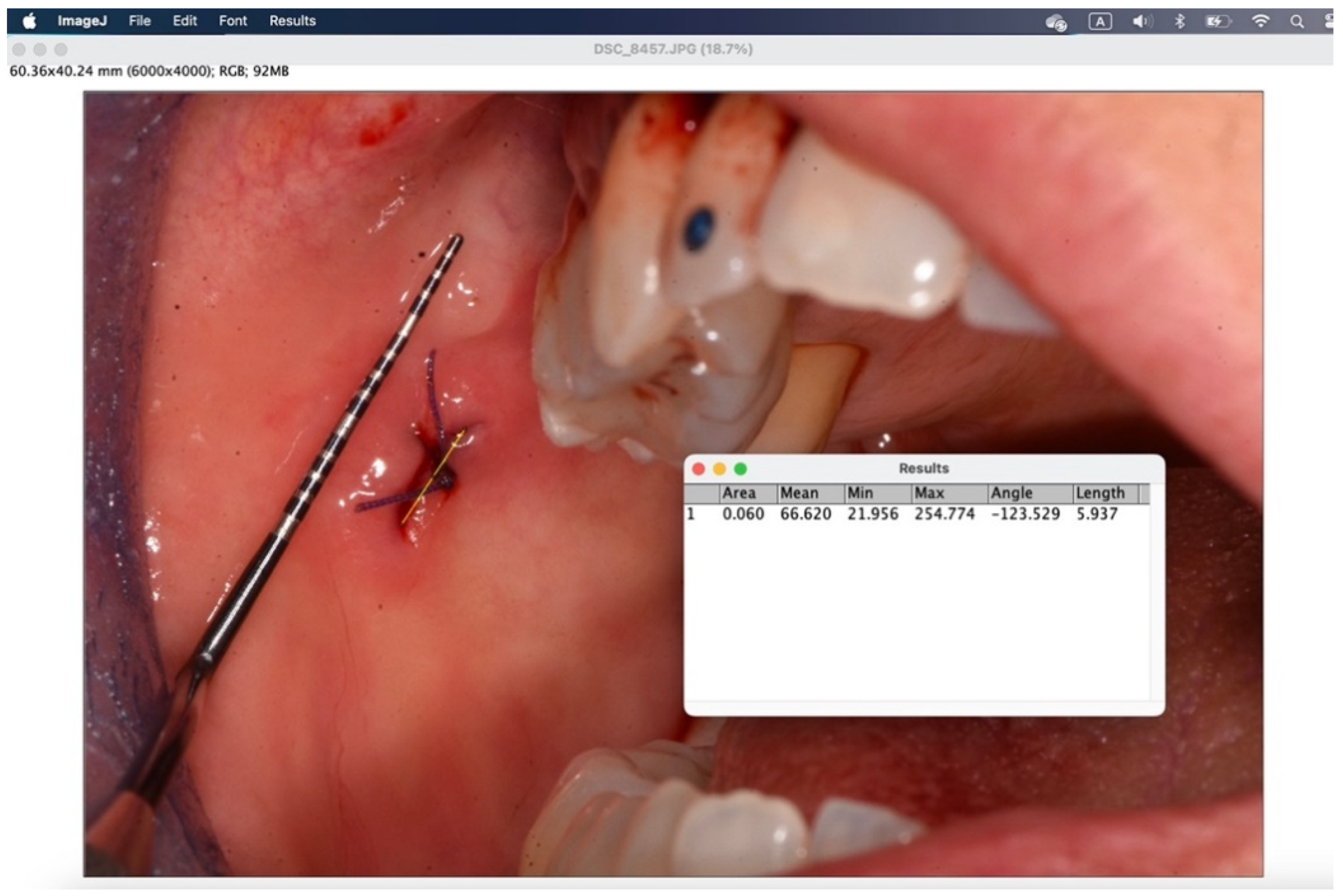 Preprints 145132 g012