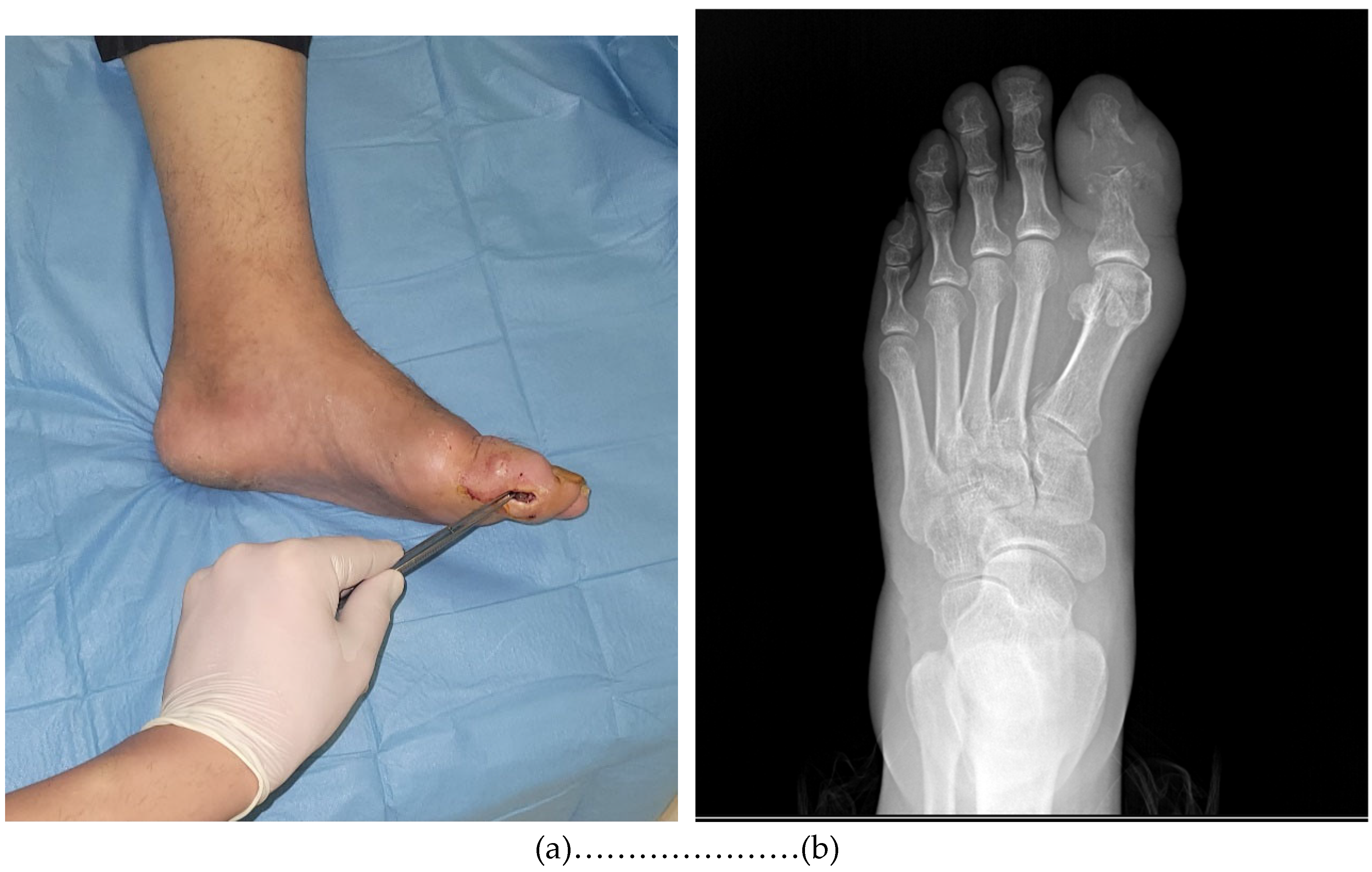 Preprints 152059 g001