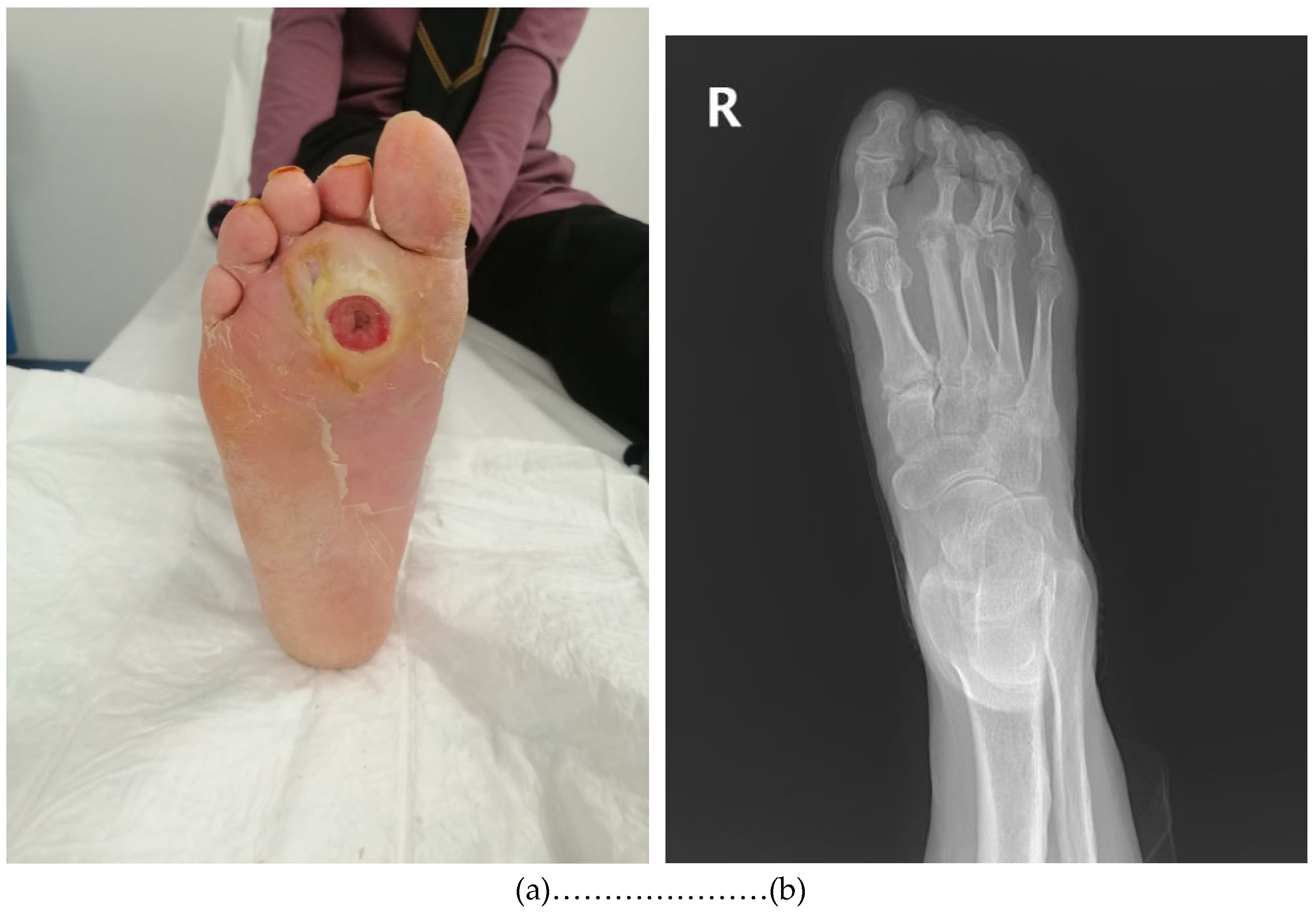 Preprints 152059 g002