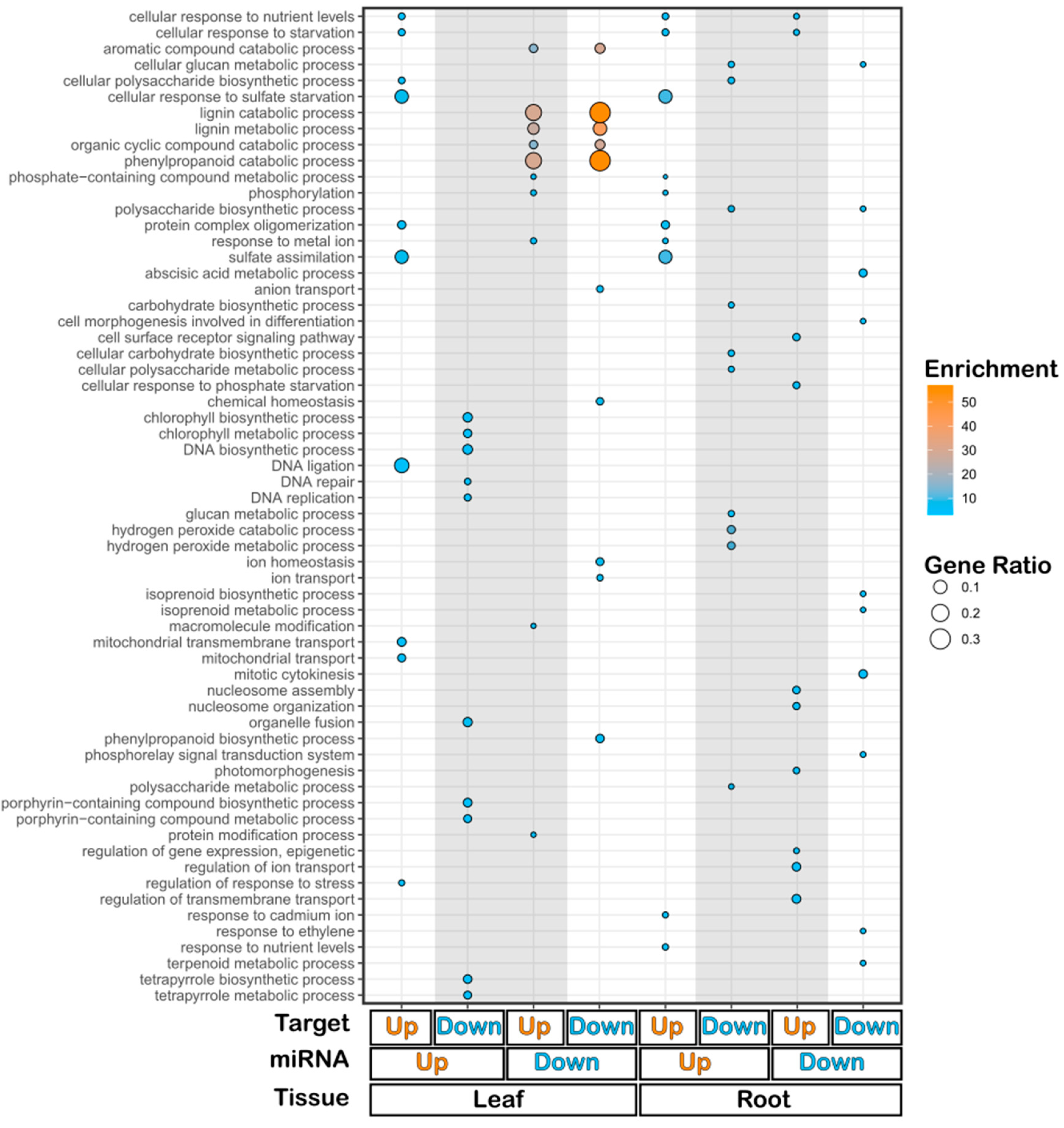 Preprints 149676 g003