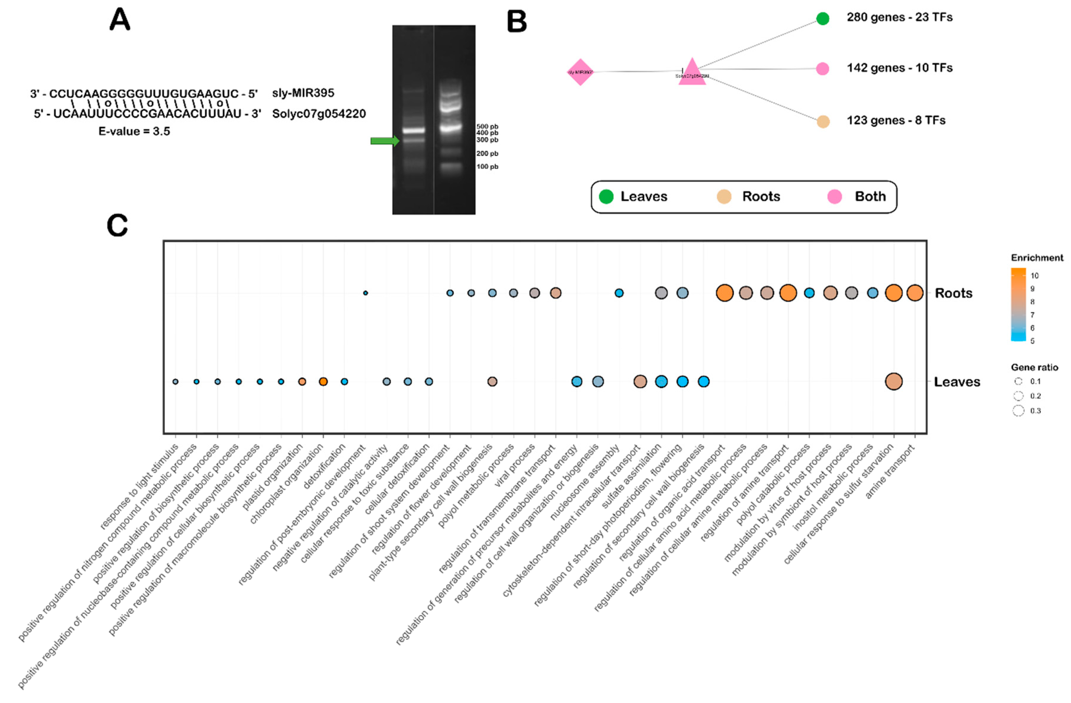 Preprints 149676 g004