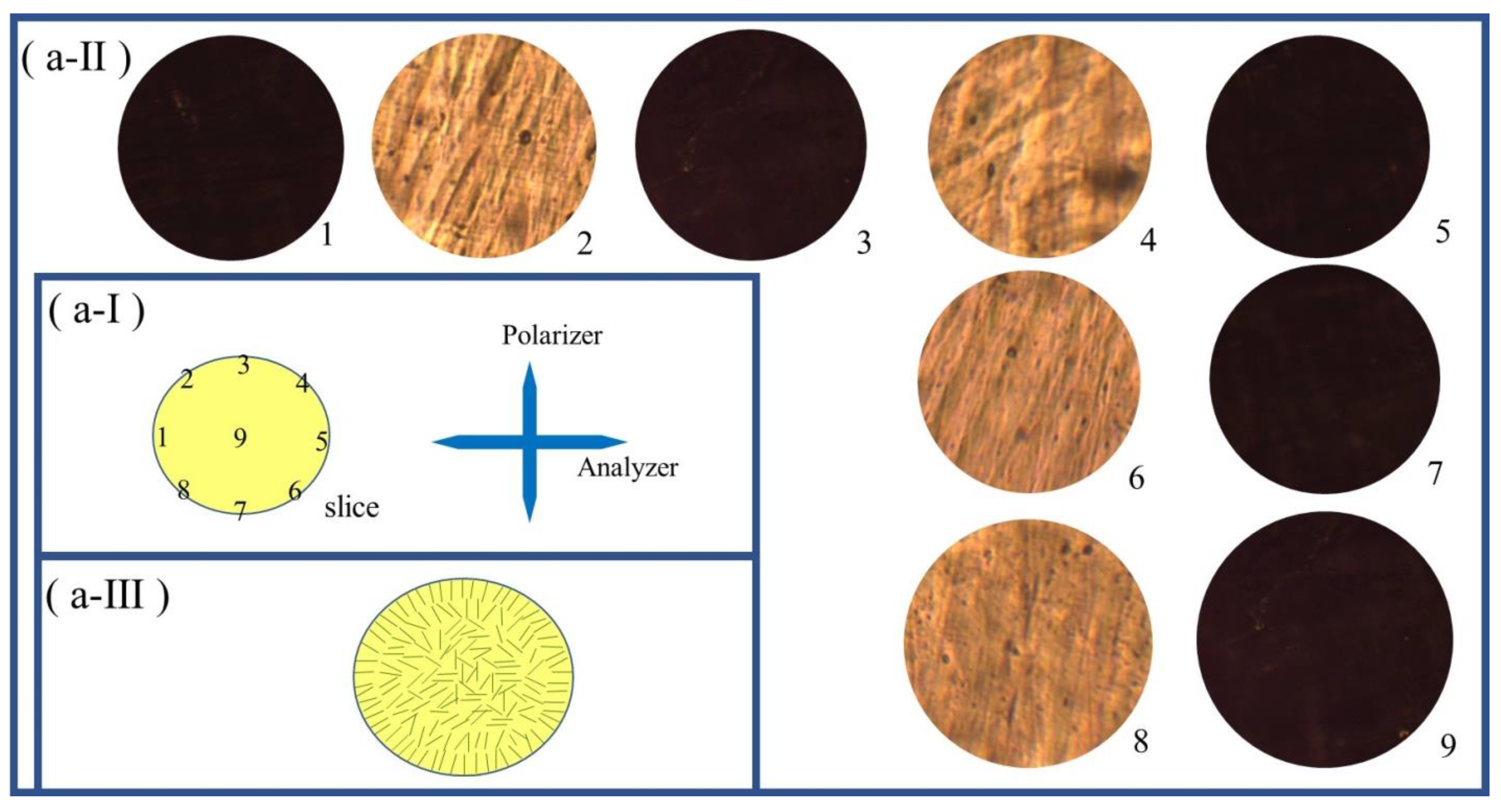 Preprints 72058 g002a