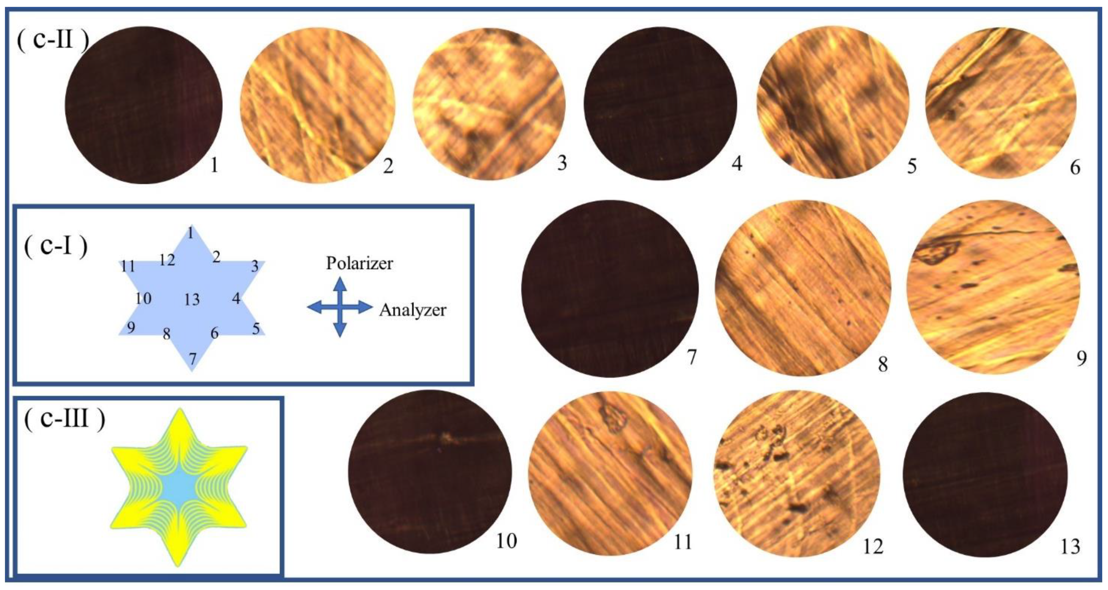 Preprints 72058 g003b