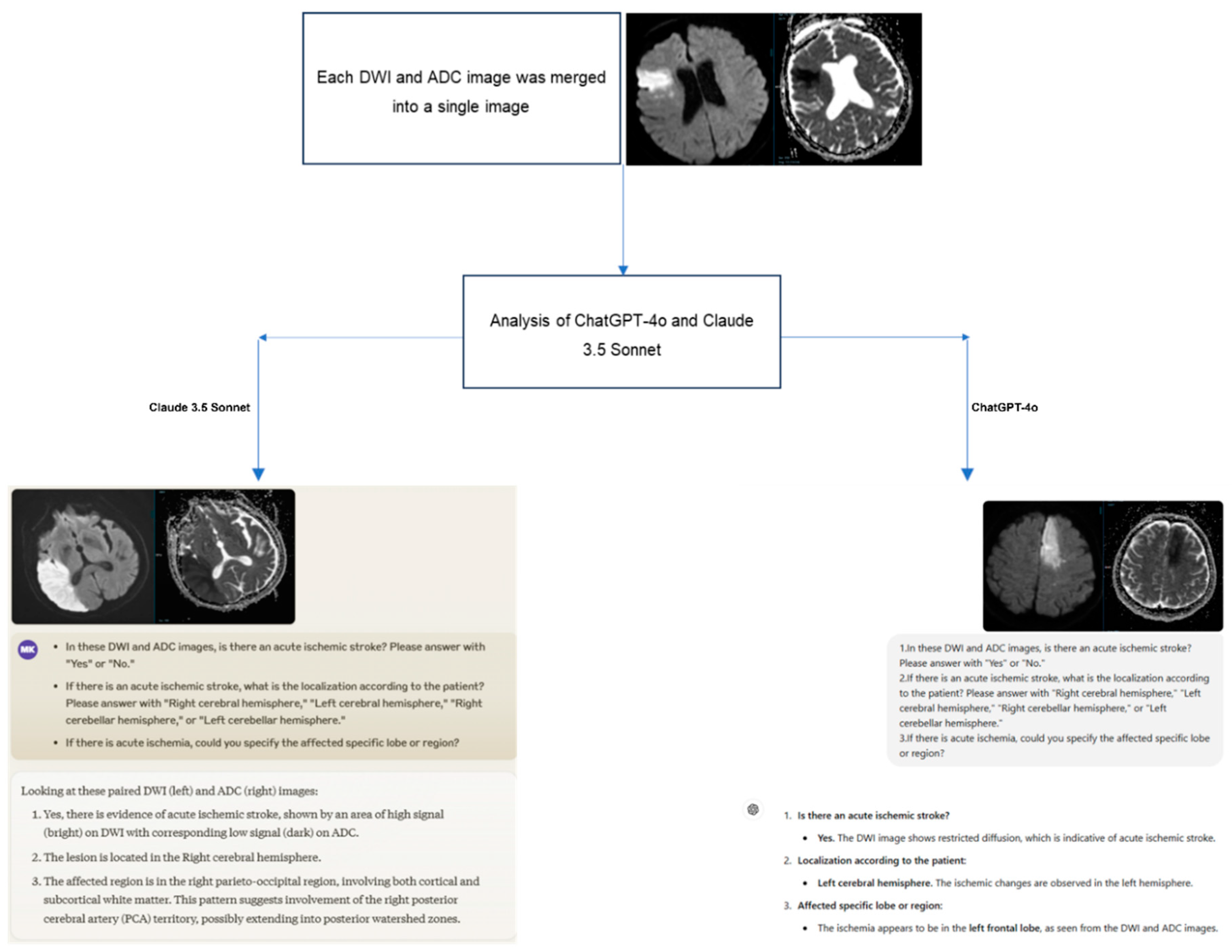 Preprints 144193 g002