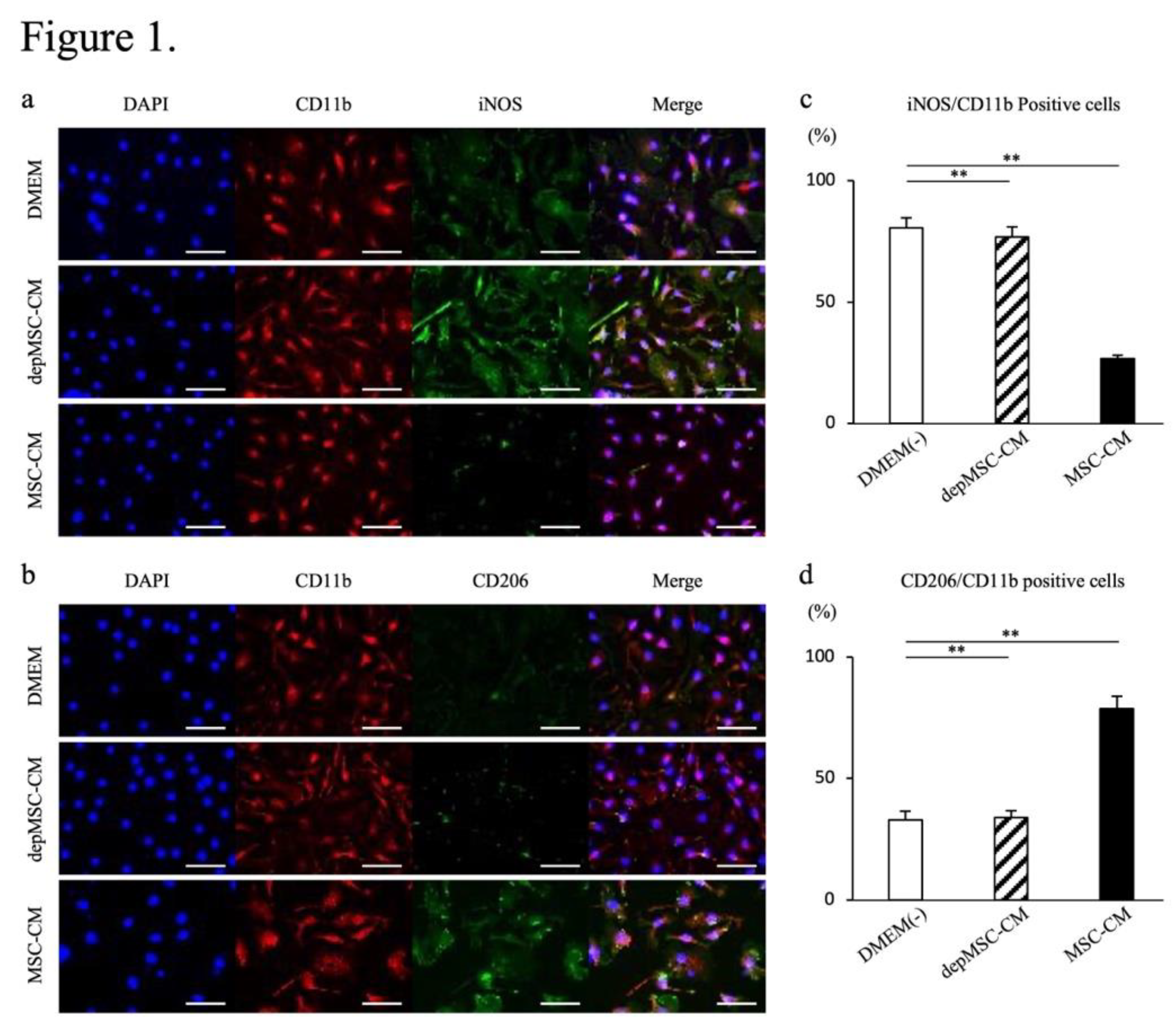 Preprints 145207 g001