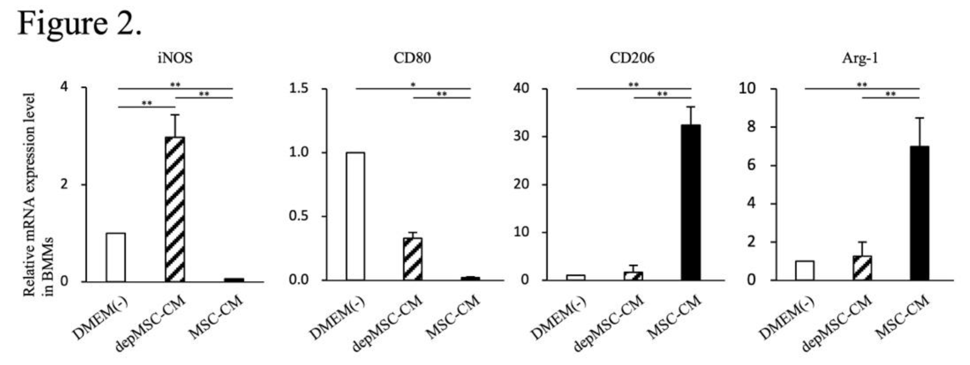 Preprints 145207 g002