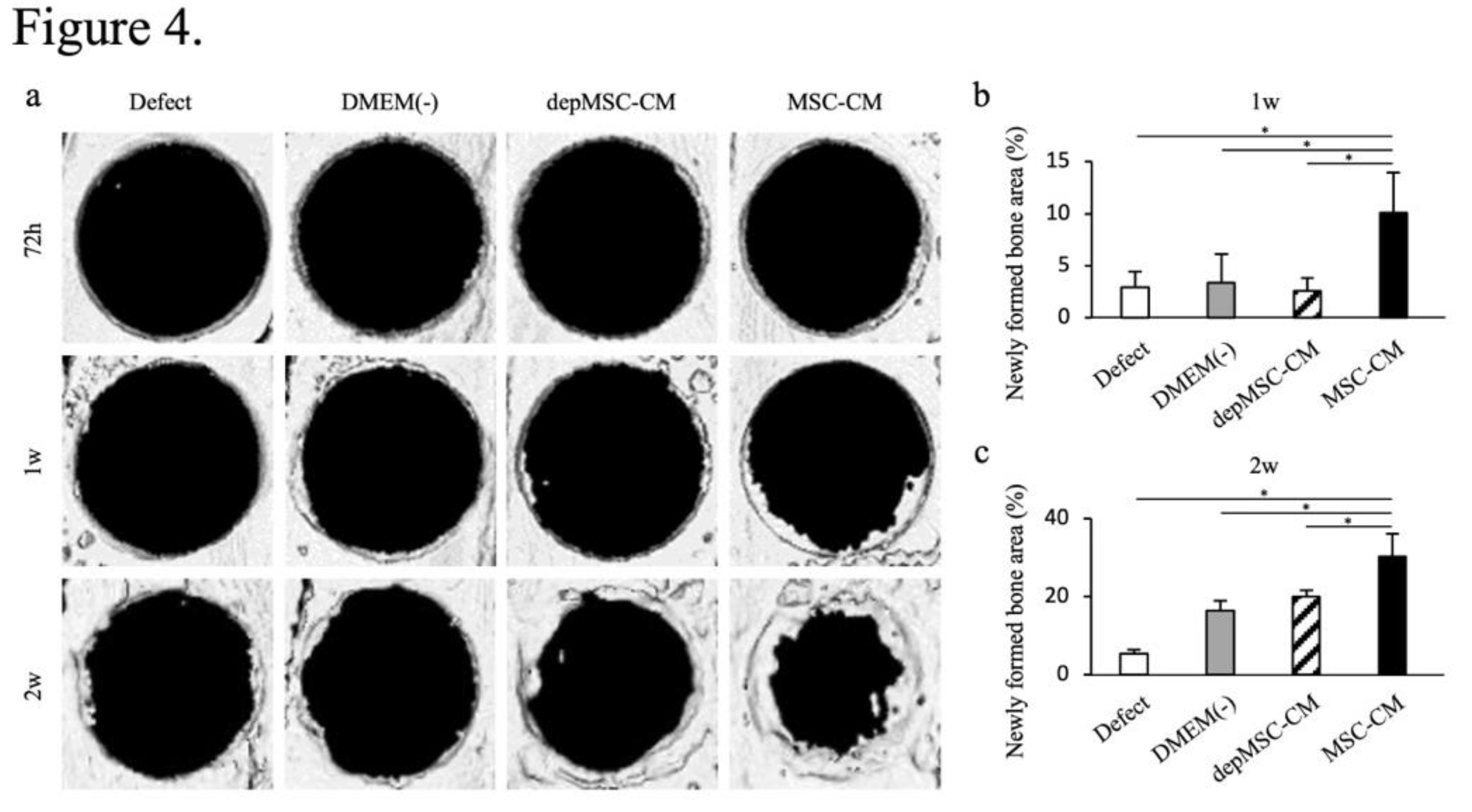 Preprints 145207 g004