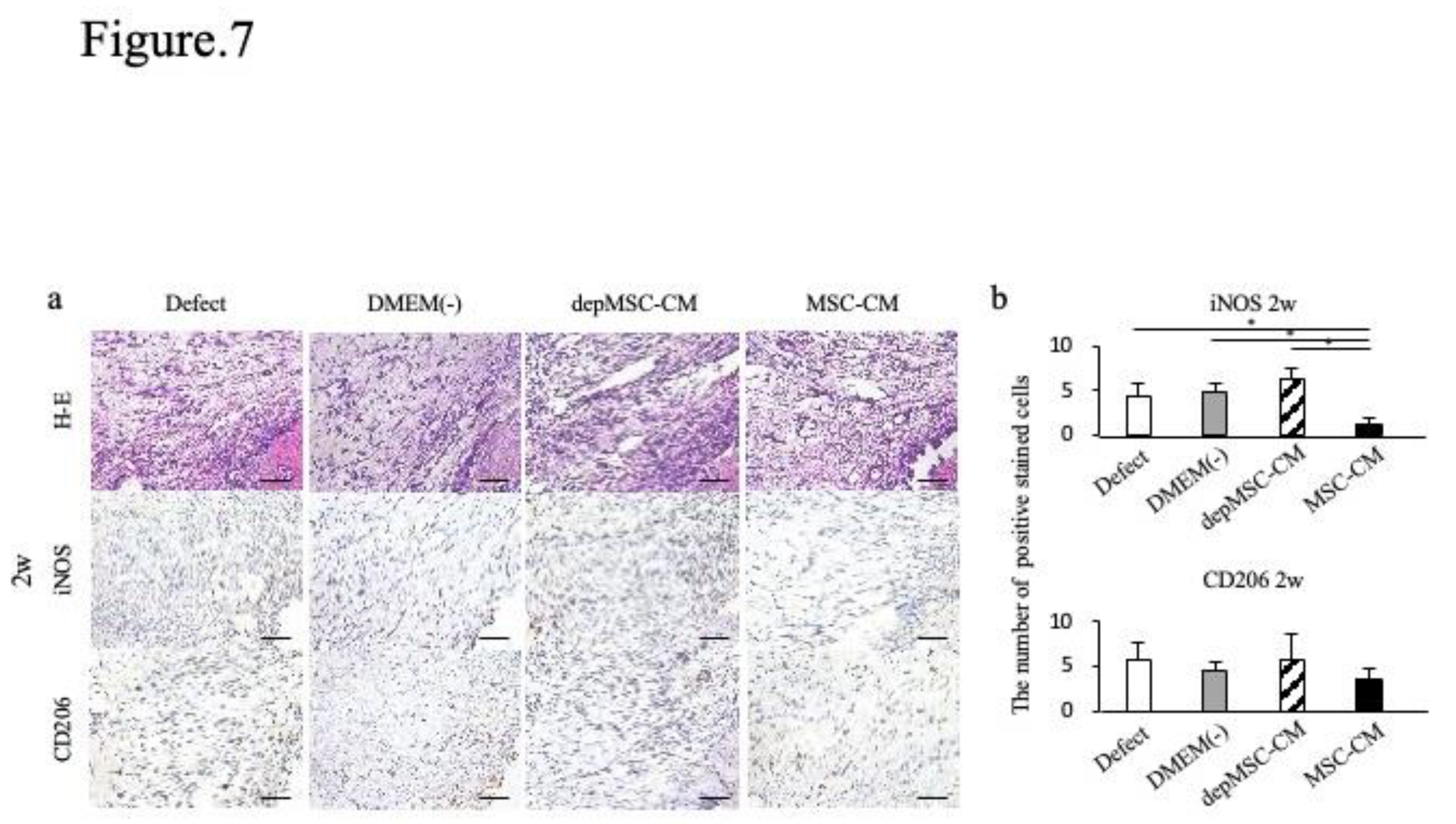 Preprints 145207 g007