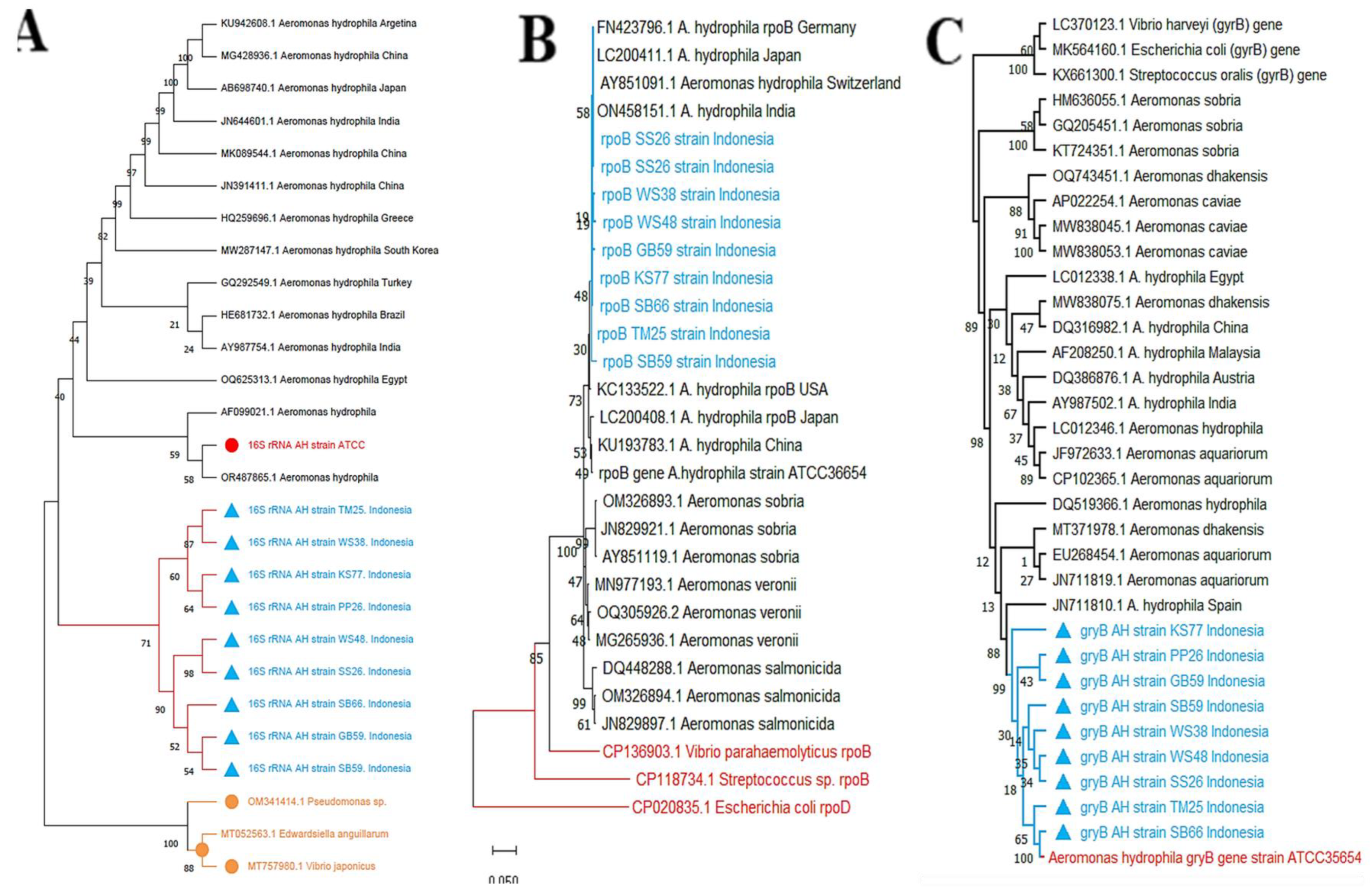 Preprints 176000 g004