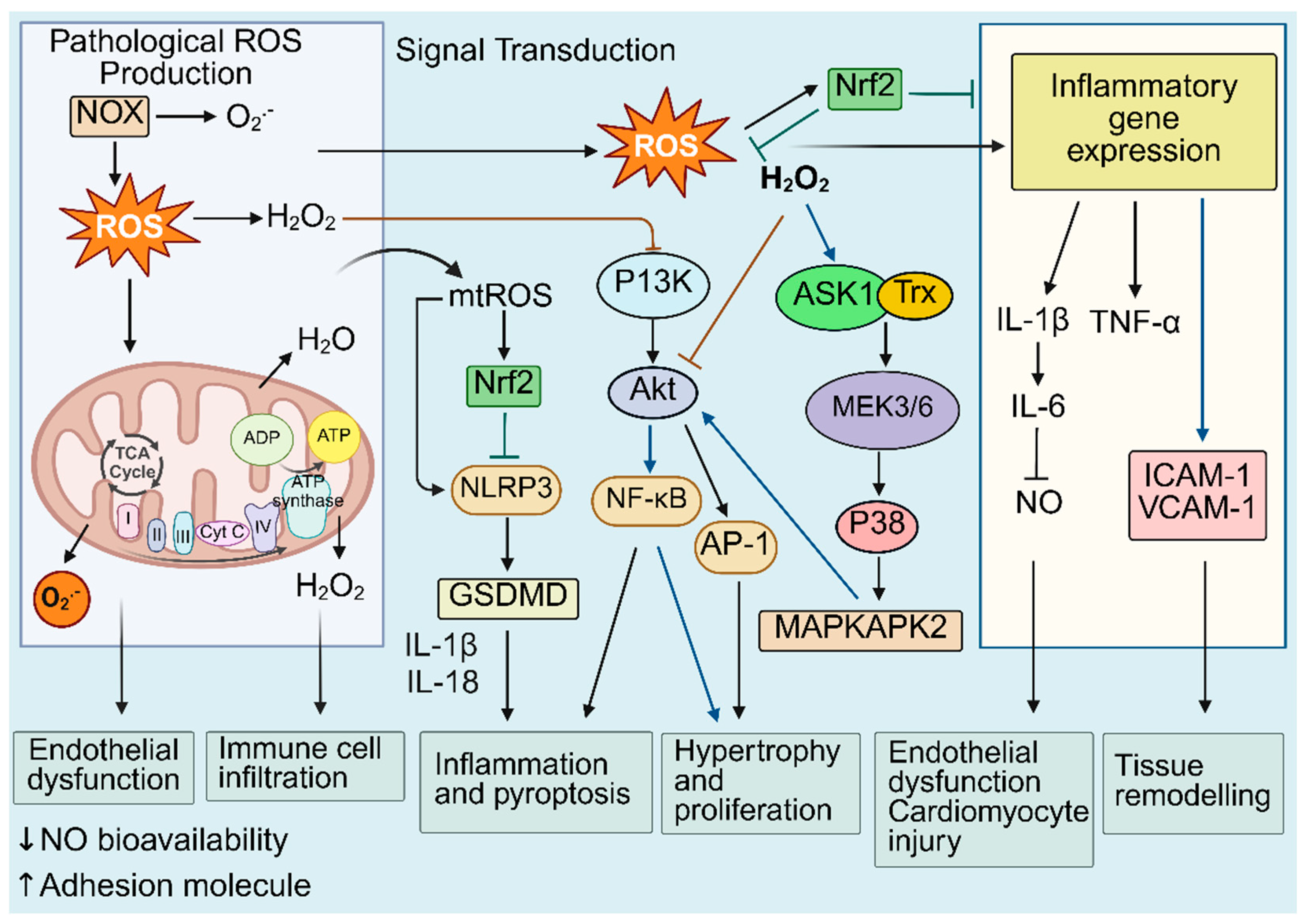 Preprints 176753 g002