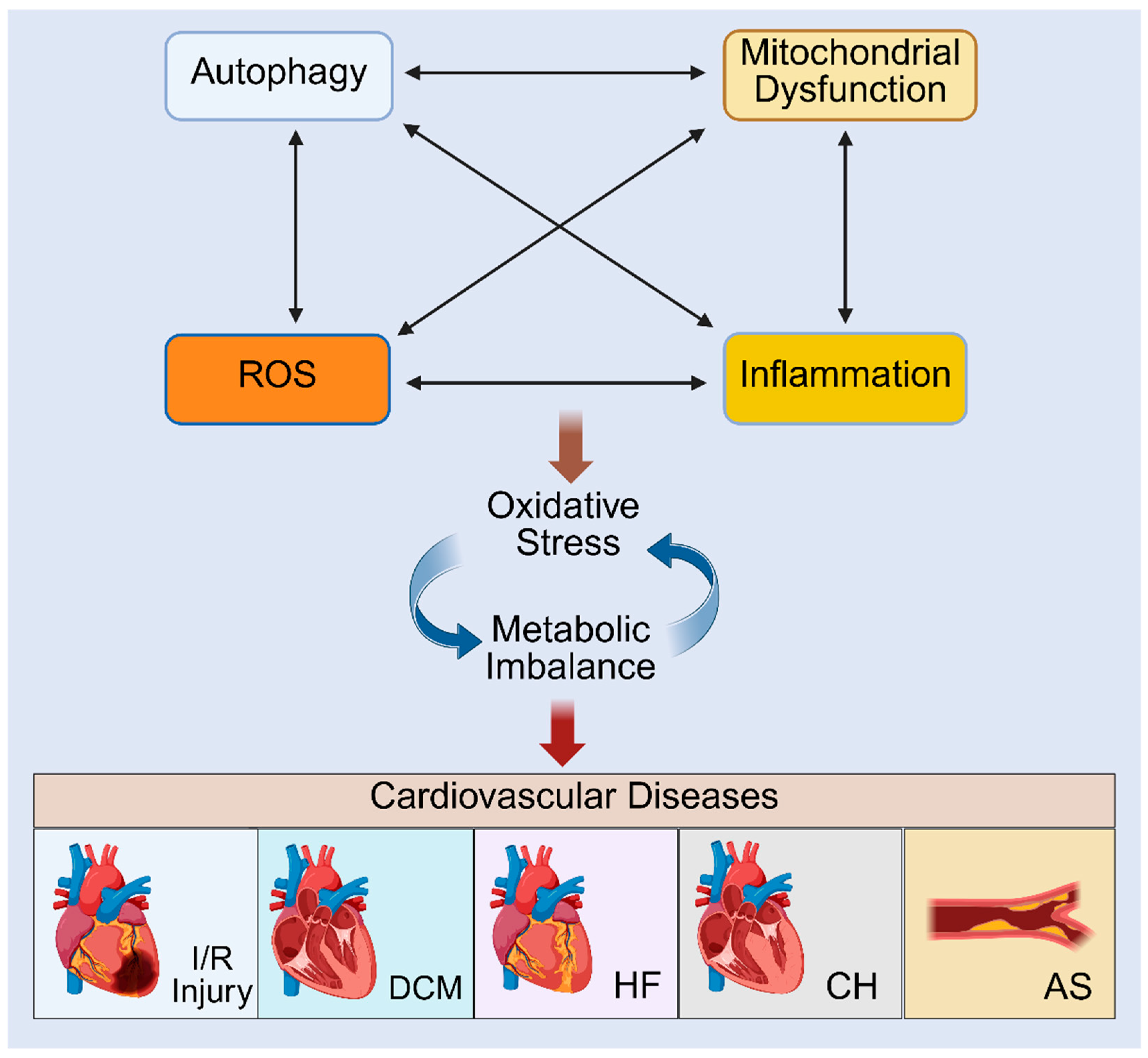 Preprints 176753 g003