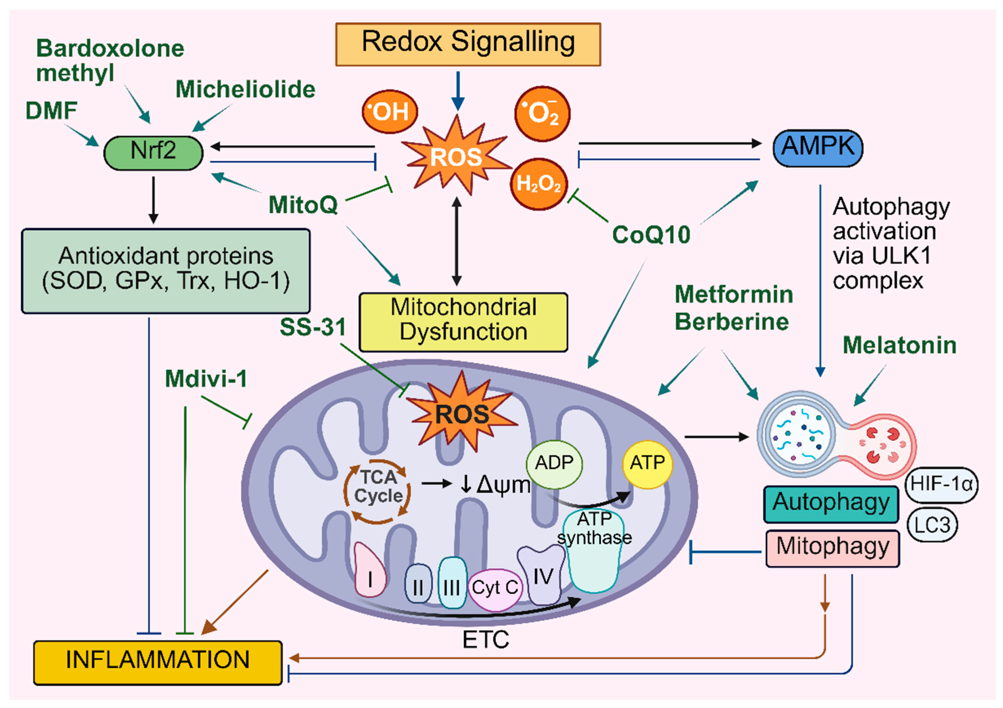 Preprints 176753 g004