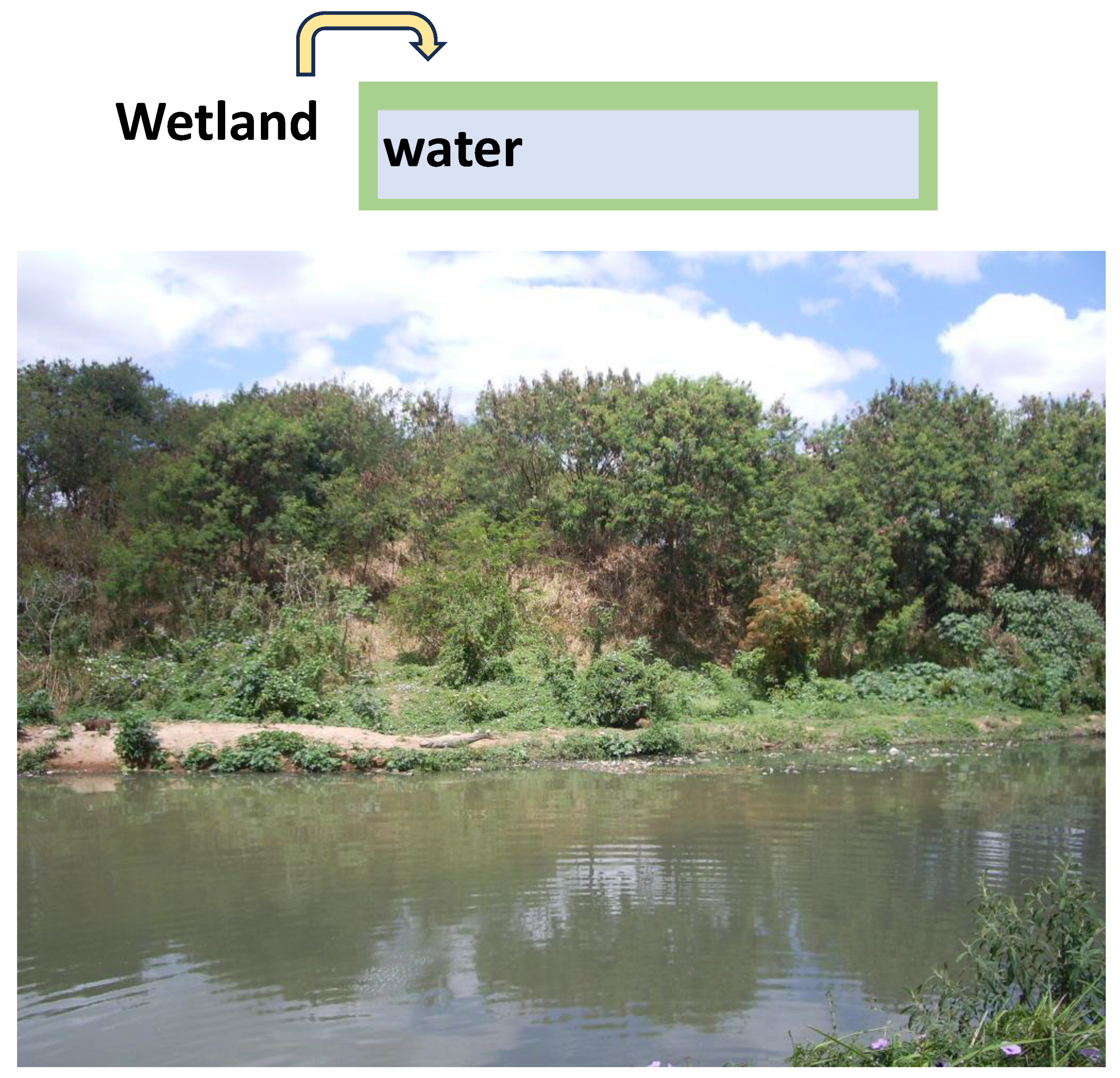 Preprints 156429 g001