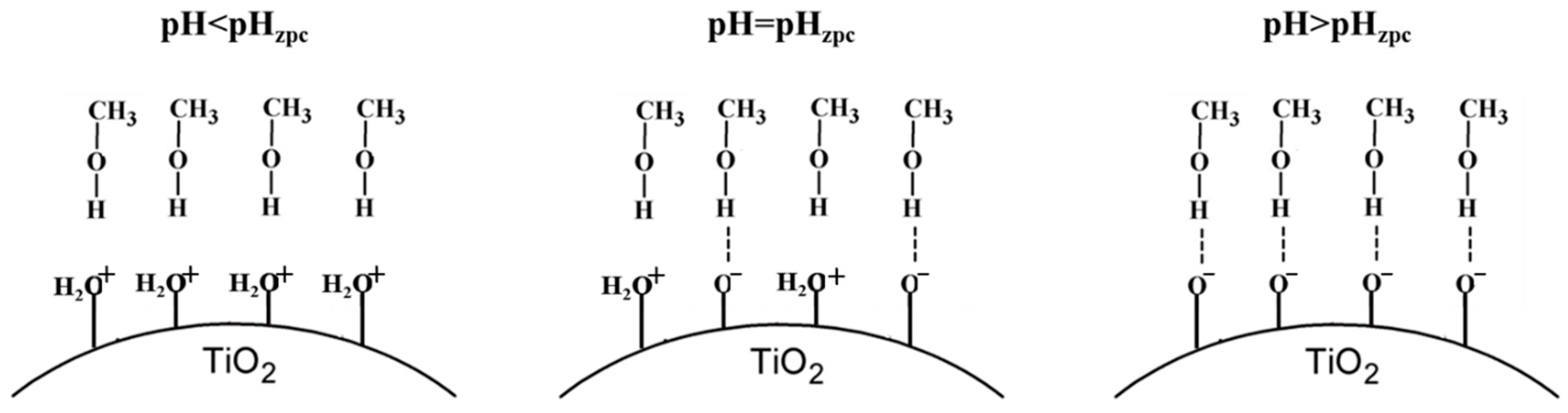 Preprints 67874 g005