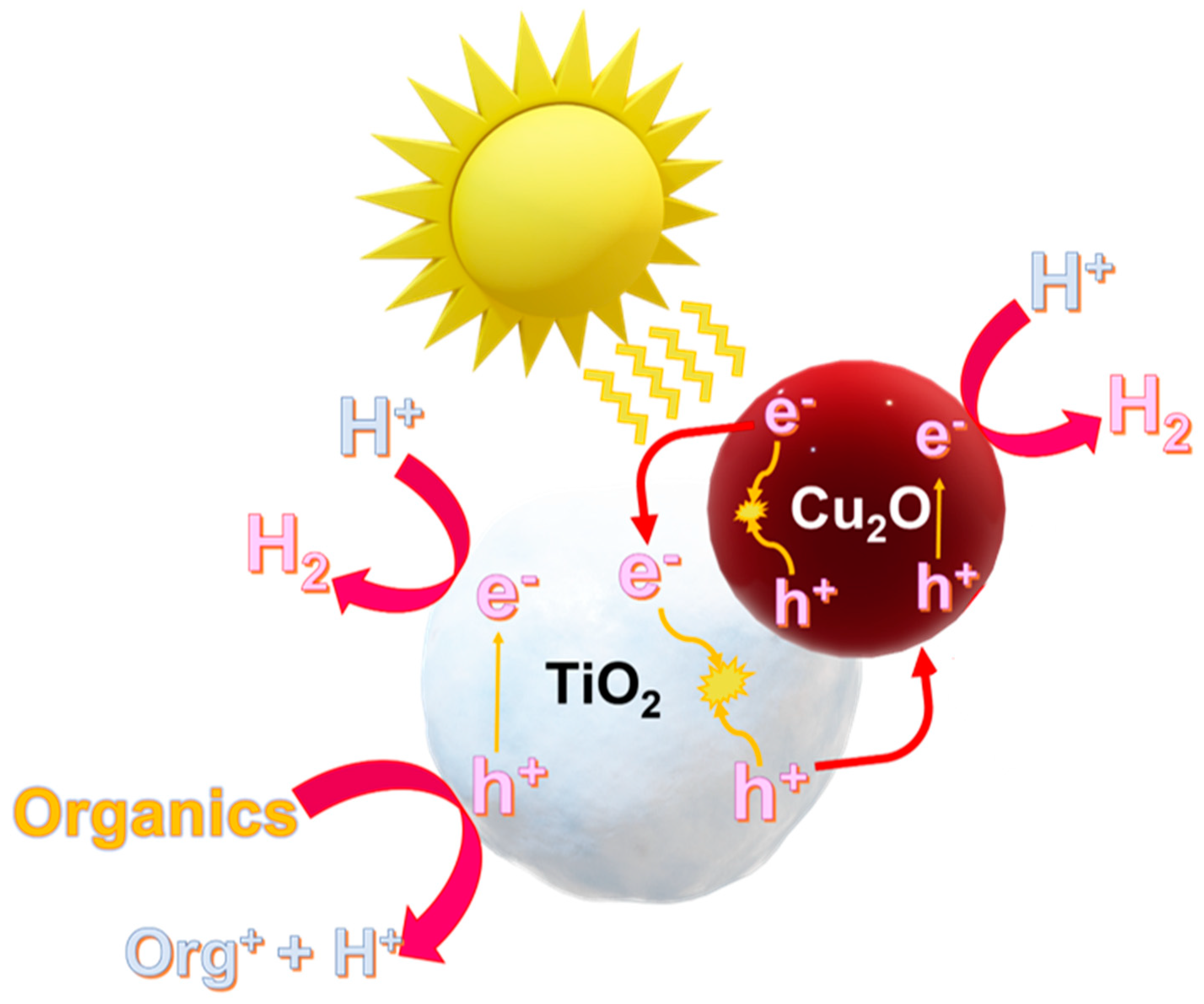 Preprints 67874 g011