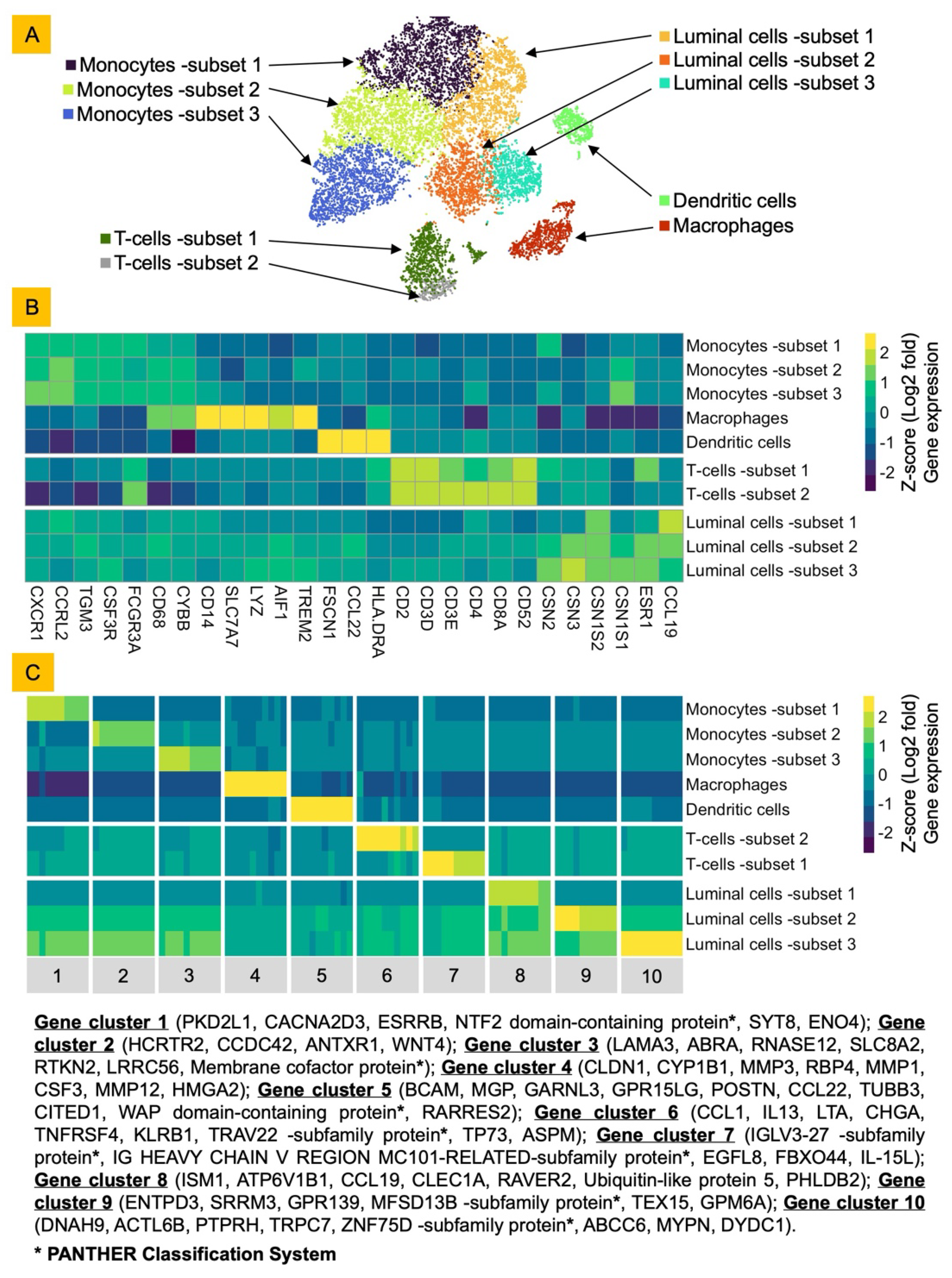 Preprints 155152 g001
