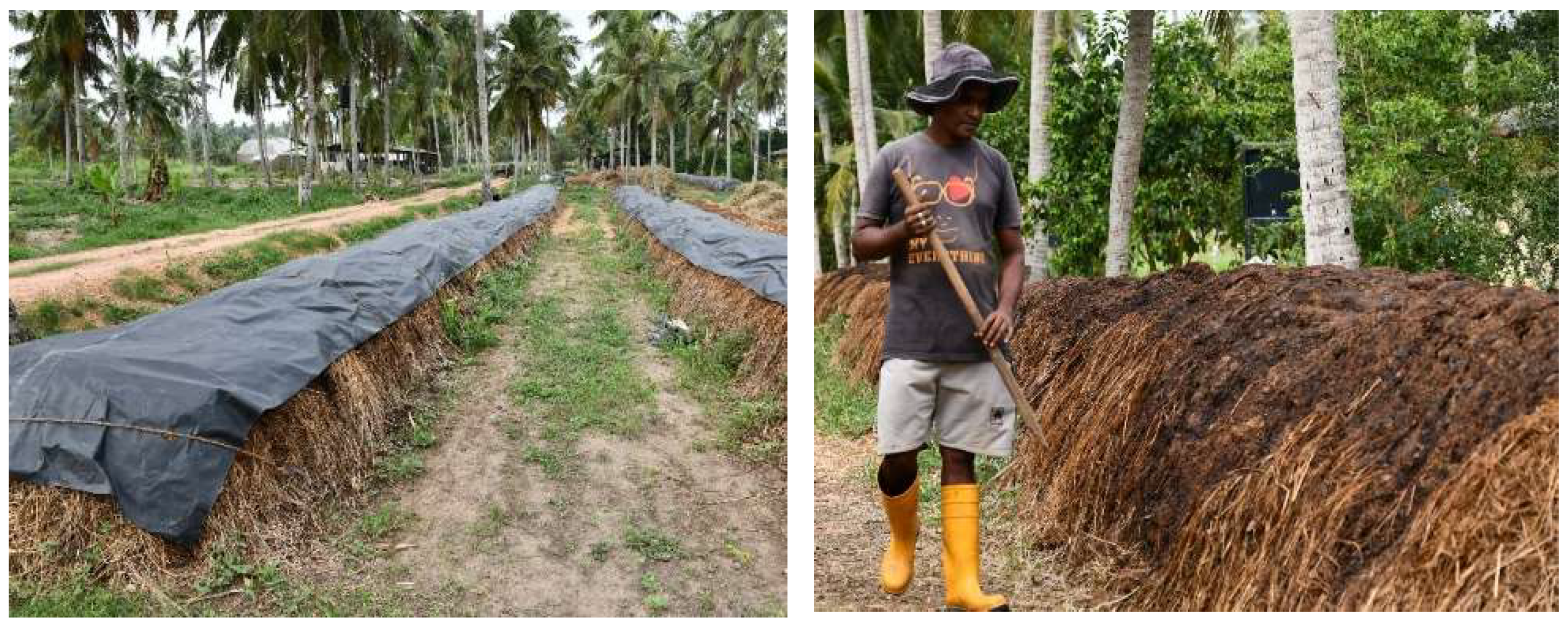 Preprints 148619 g001