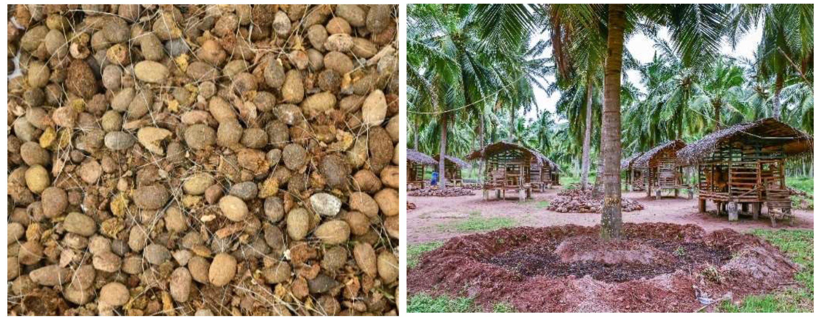 Preprints 148619 g003