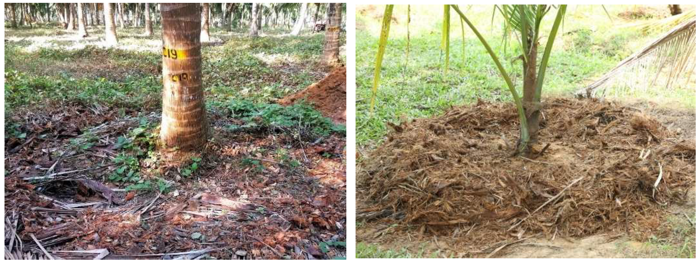 Preprints 148619 g005