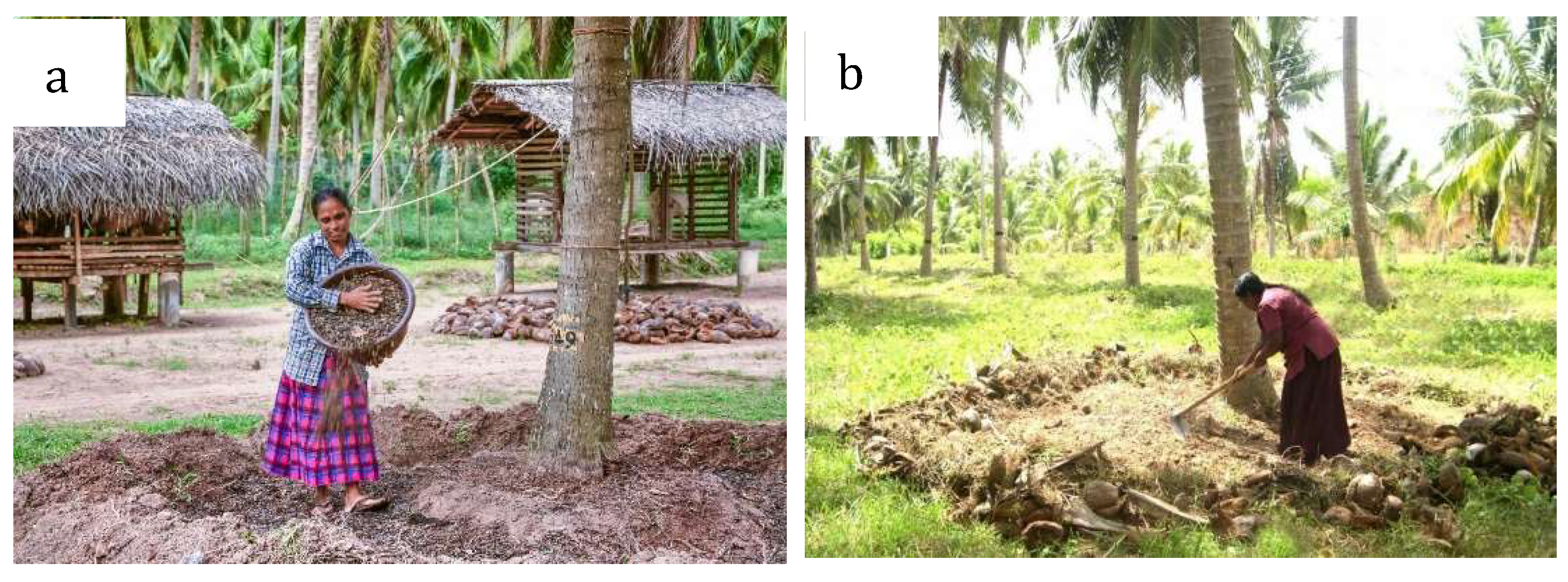 Preprints 148619 g007