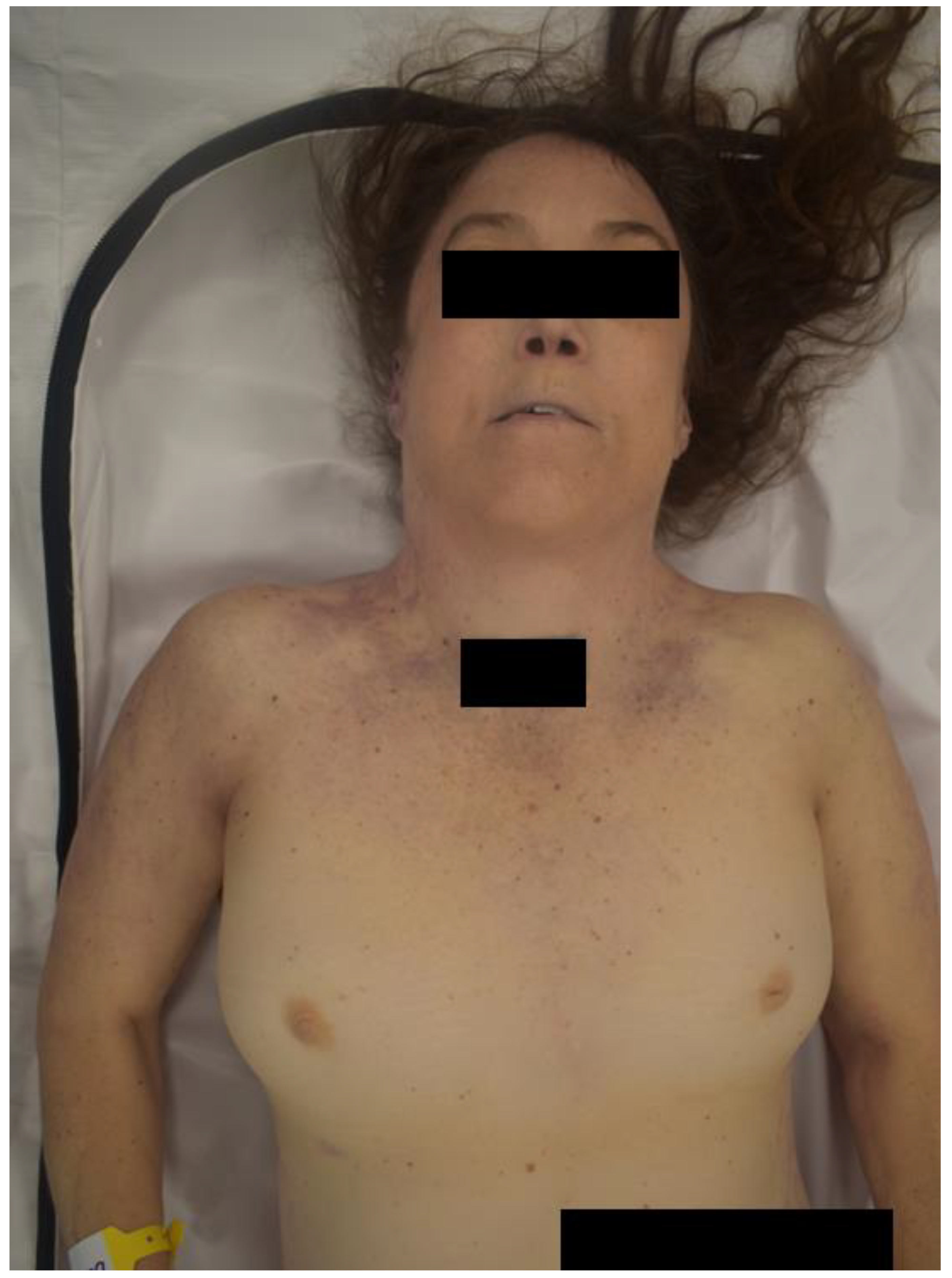 Preprints 69391 g002