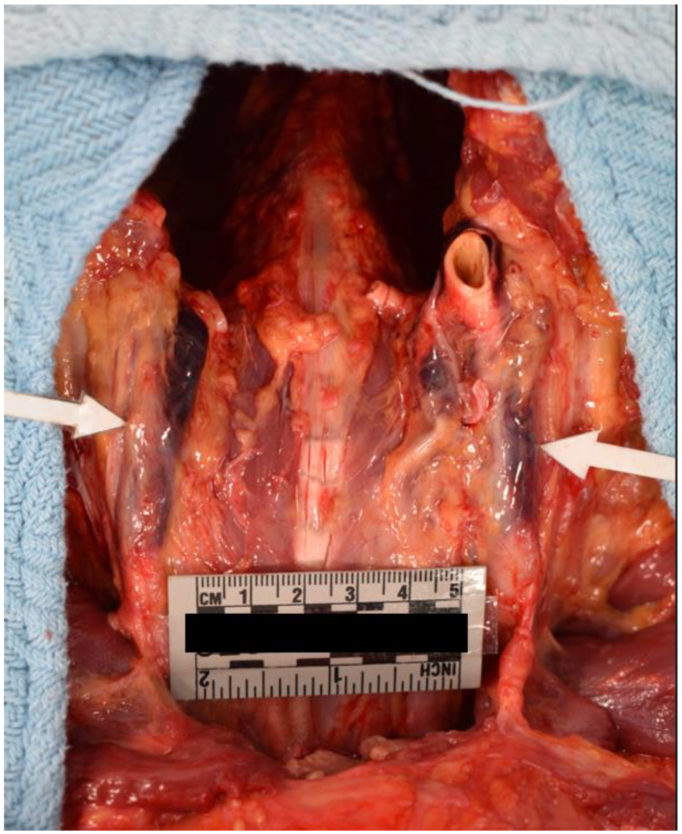 Preprints 69391 g007