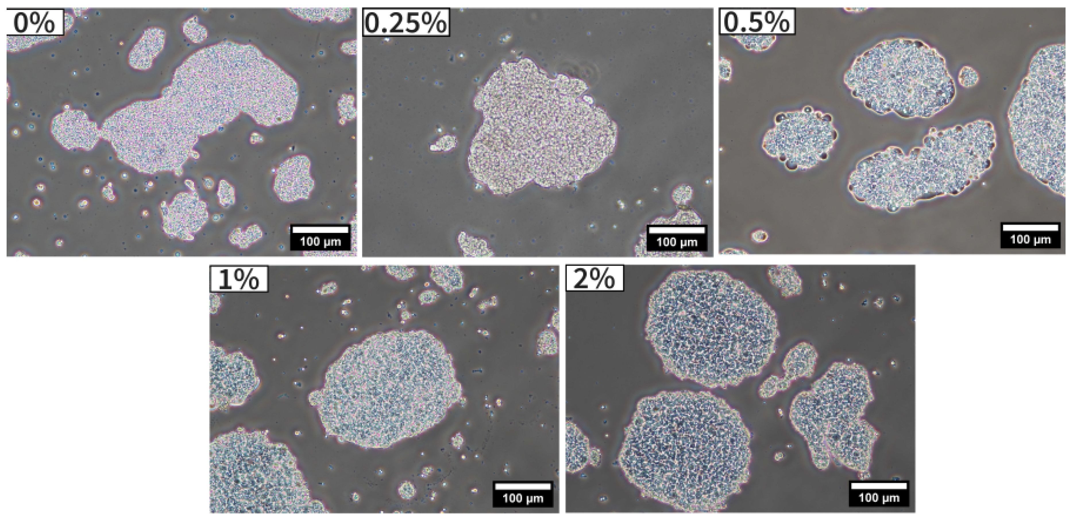 Preprints 143922 g001