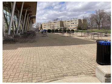 Preprints 94359 i001