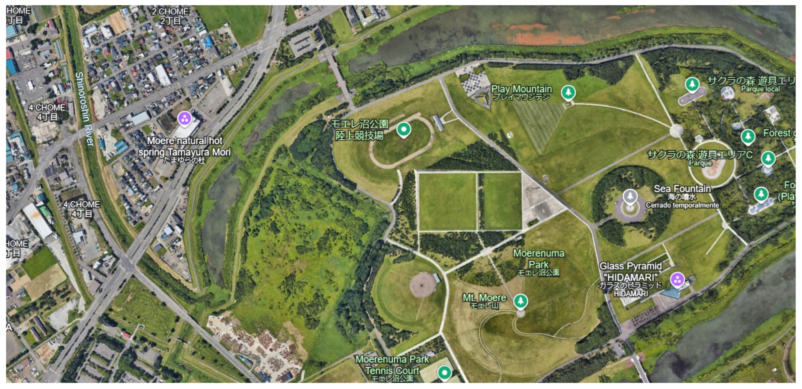 Preprints 157179 g001