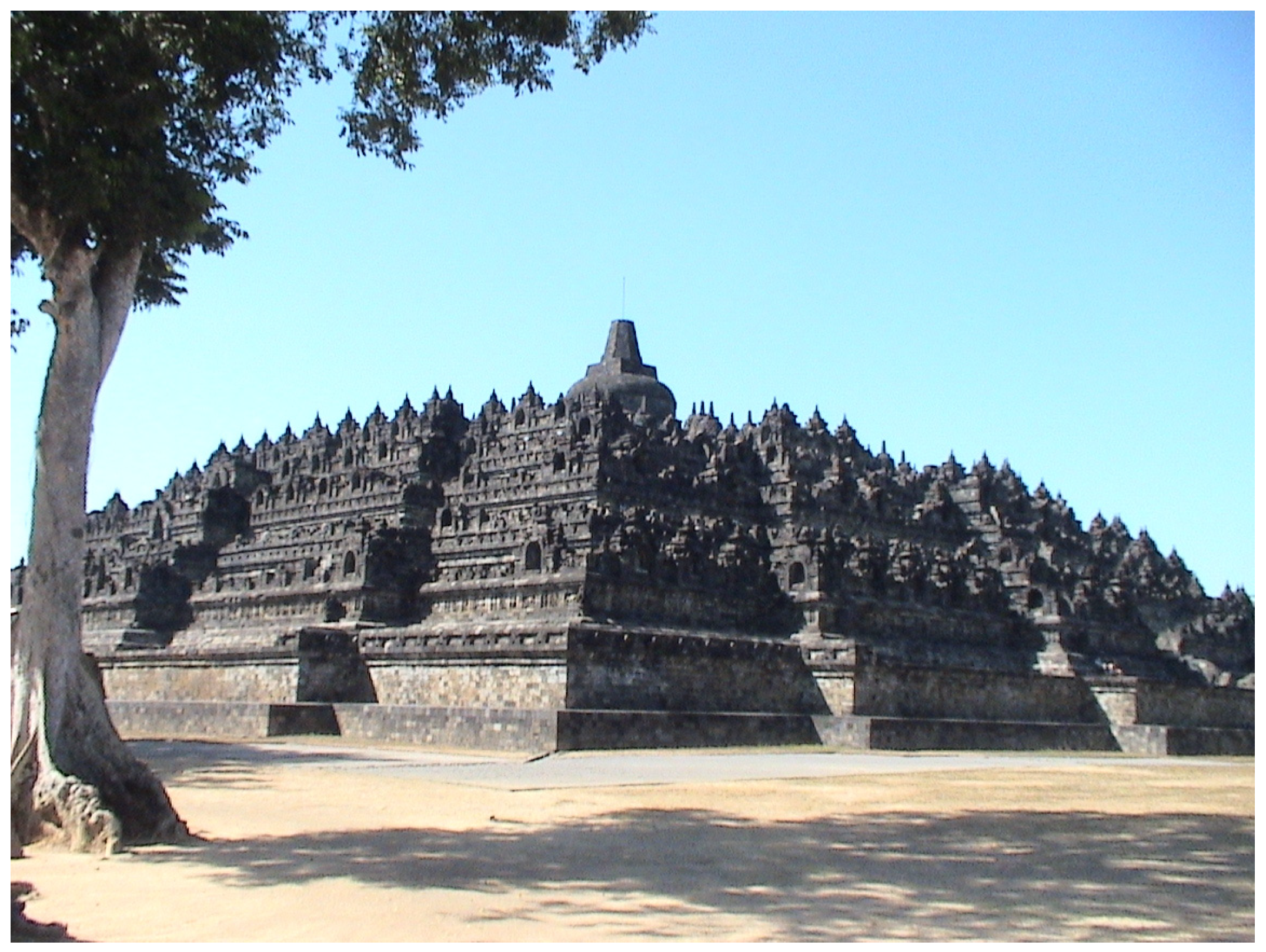 Preprints 157179 g005