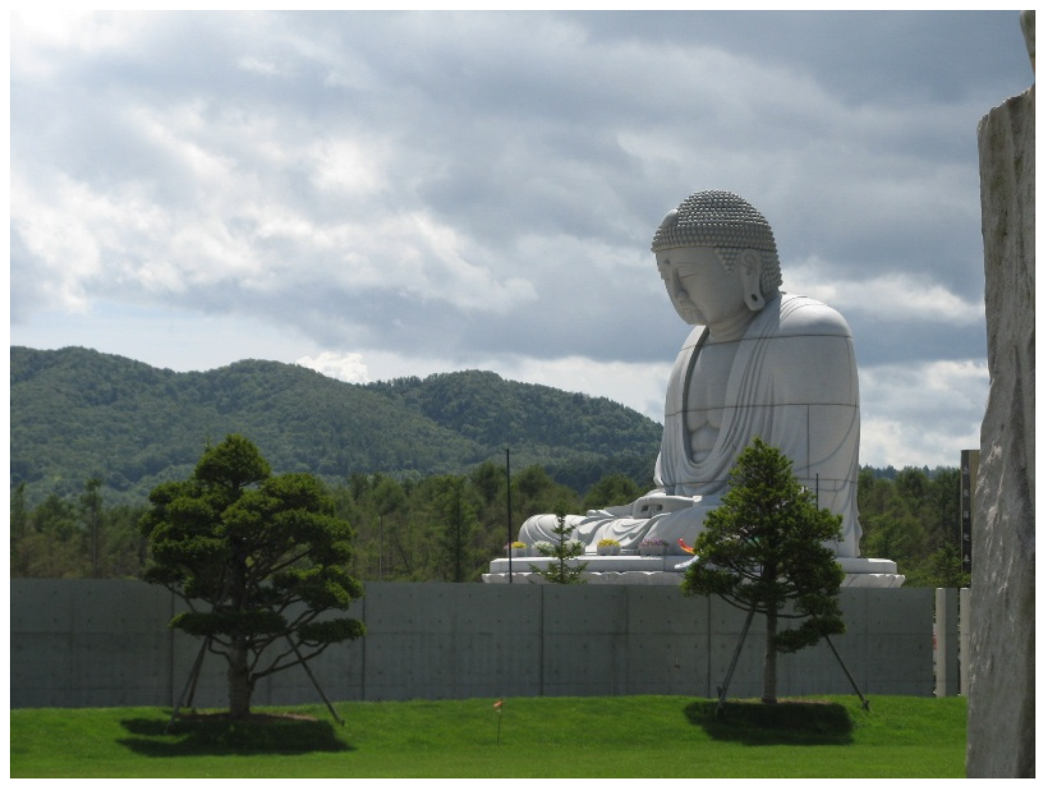 Preprints 157179 g008