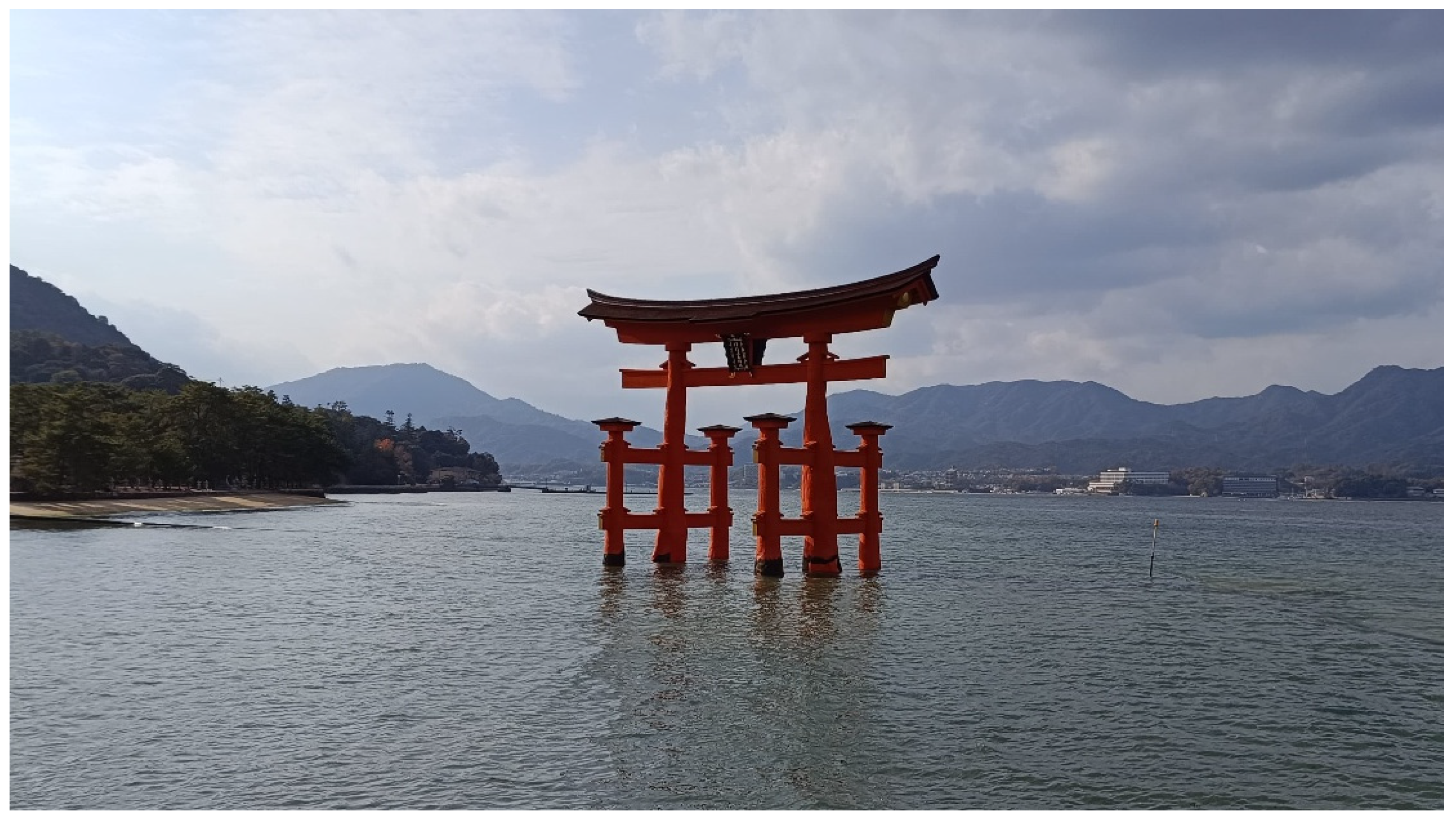 Preprints 157179 g021