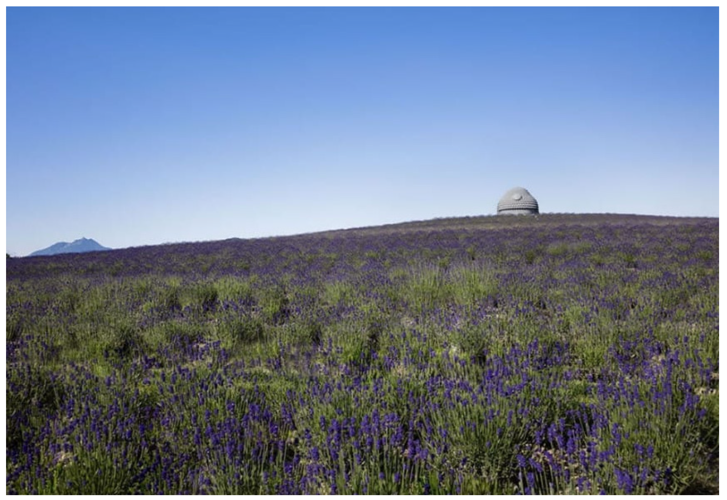 Preprints 157179 g030