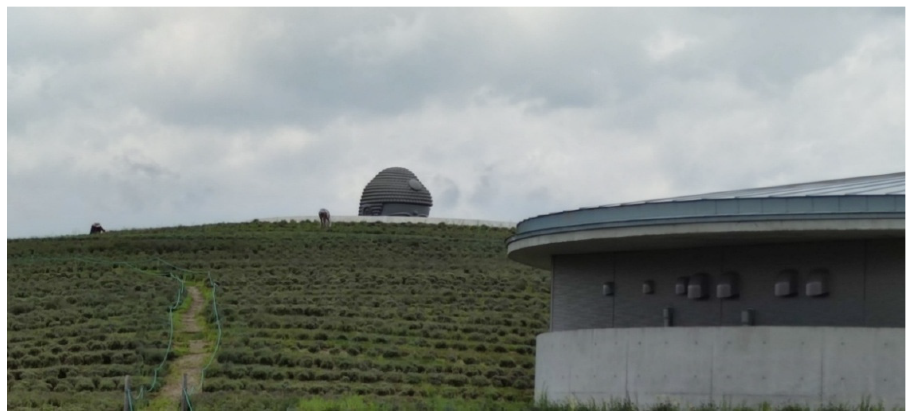 Preprints 157179 g032