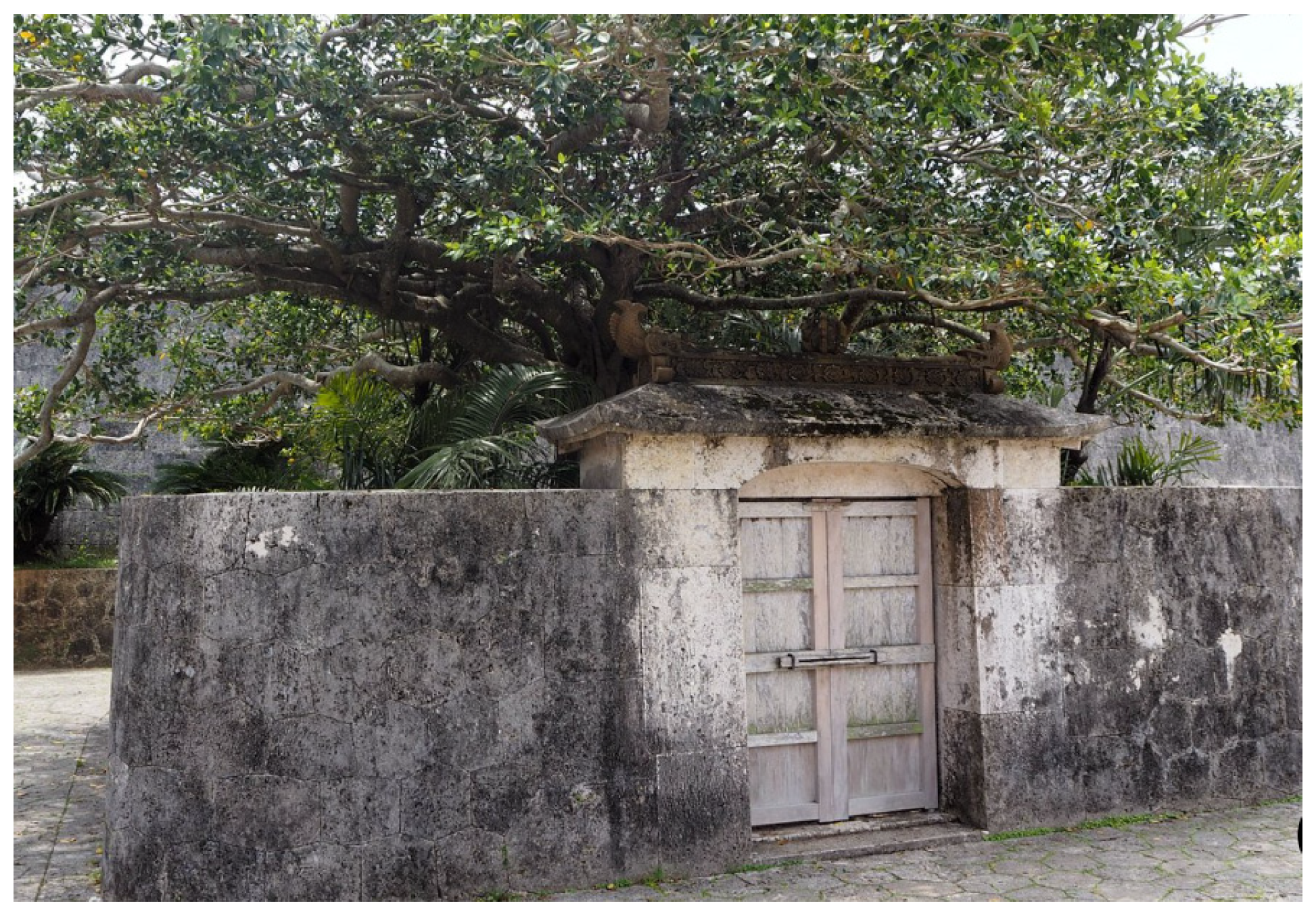 Preprints 157179 g035