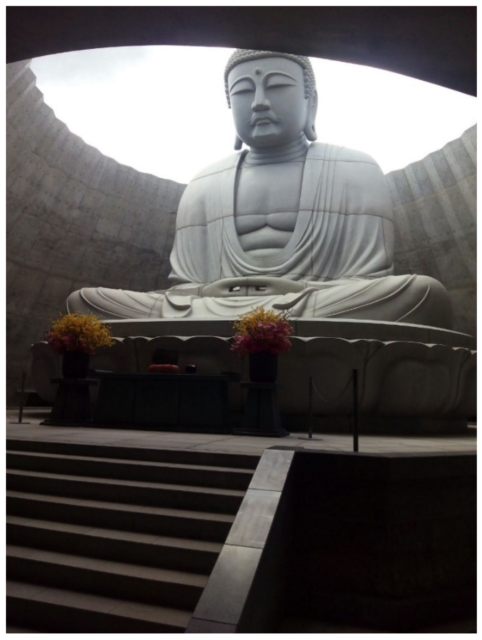 Preprints 157179 g037