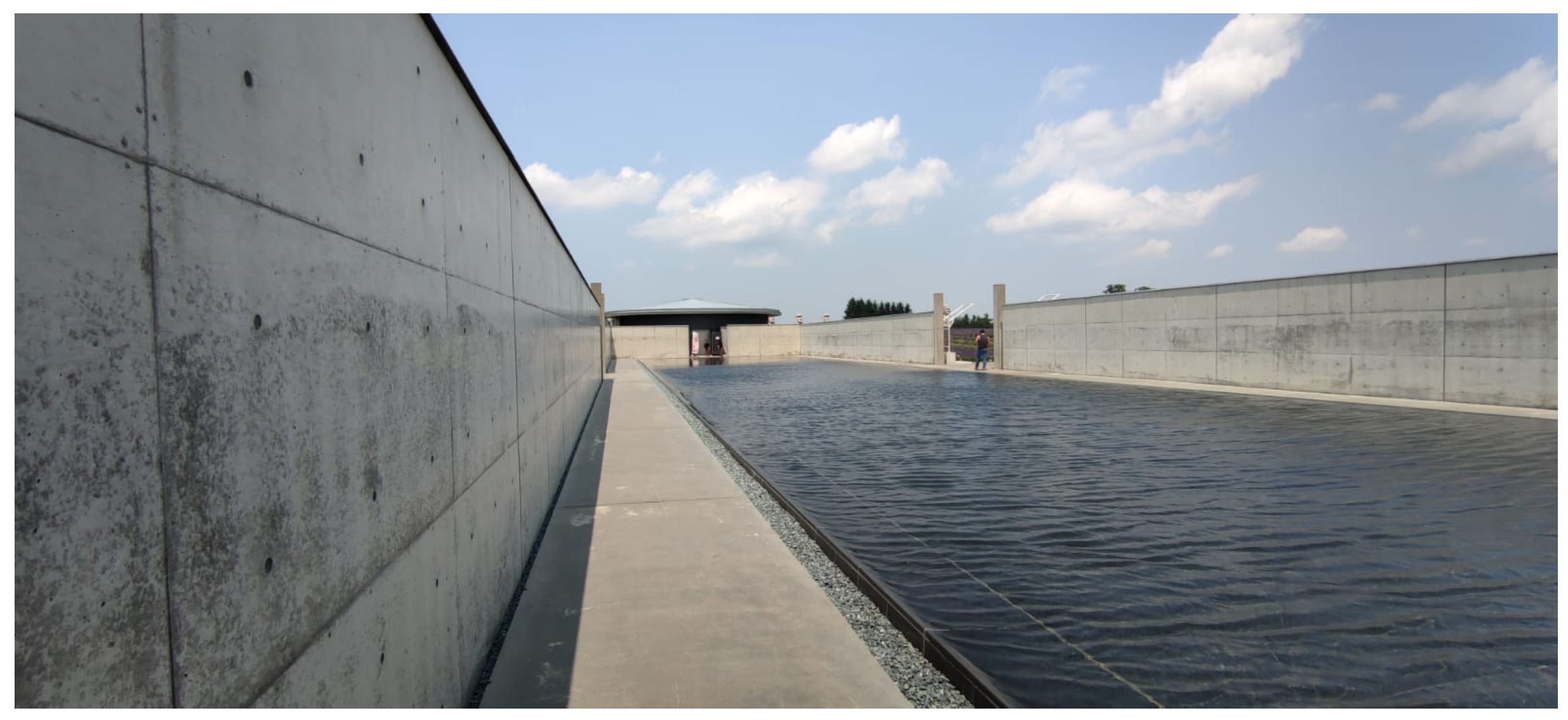 Preprints 157179 g044