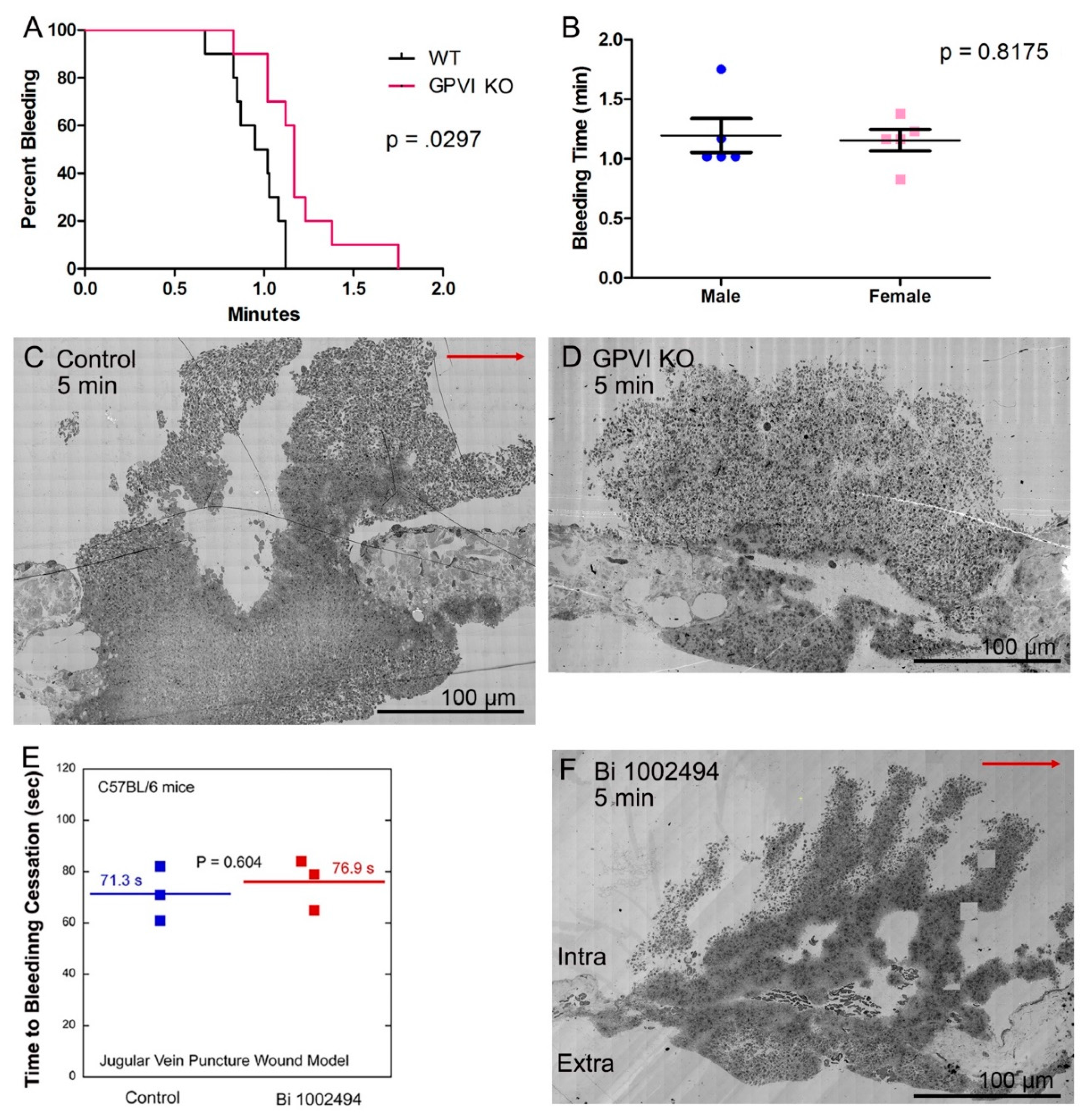 Preprints 147804 g001