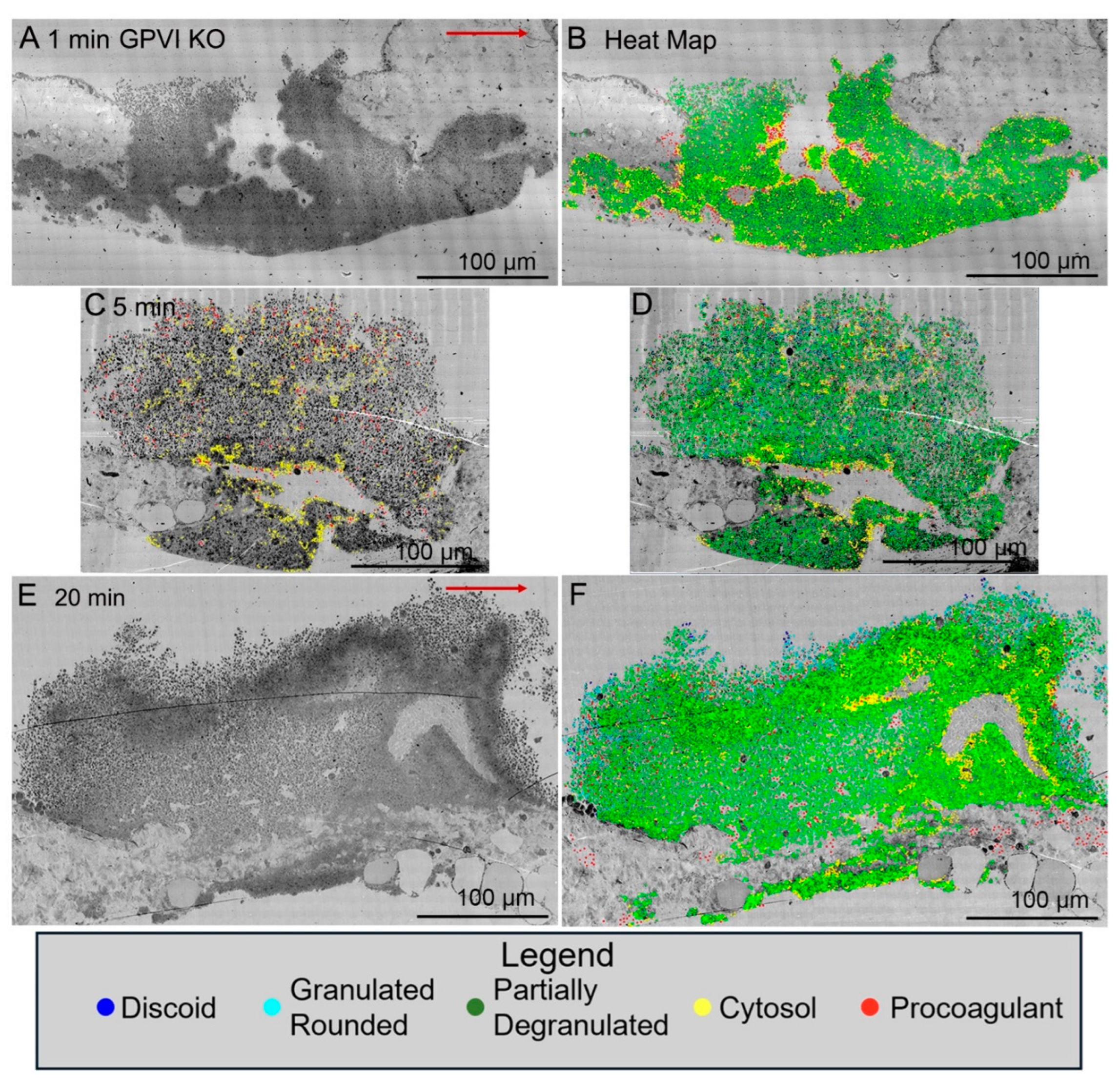 Preprints 147804 g002
