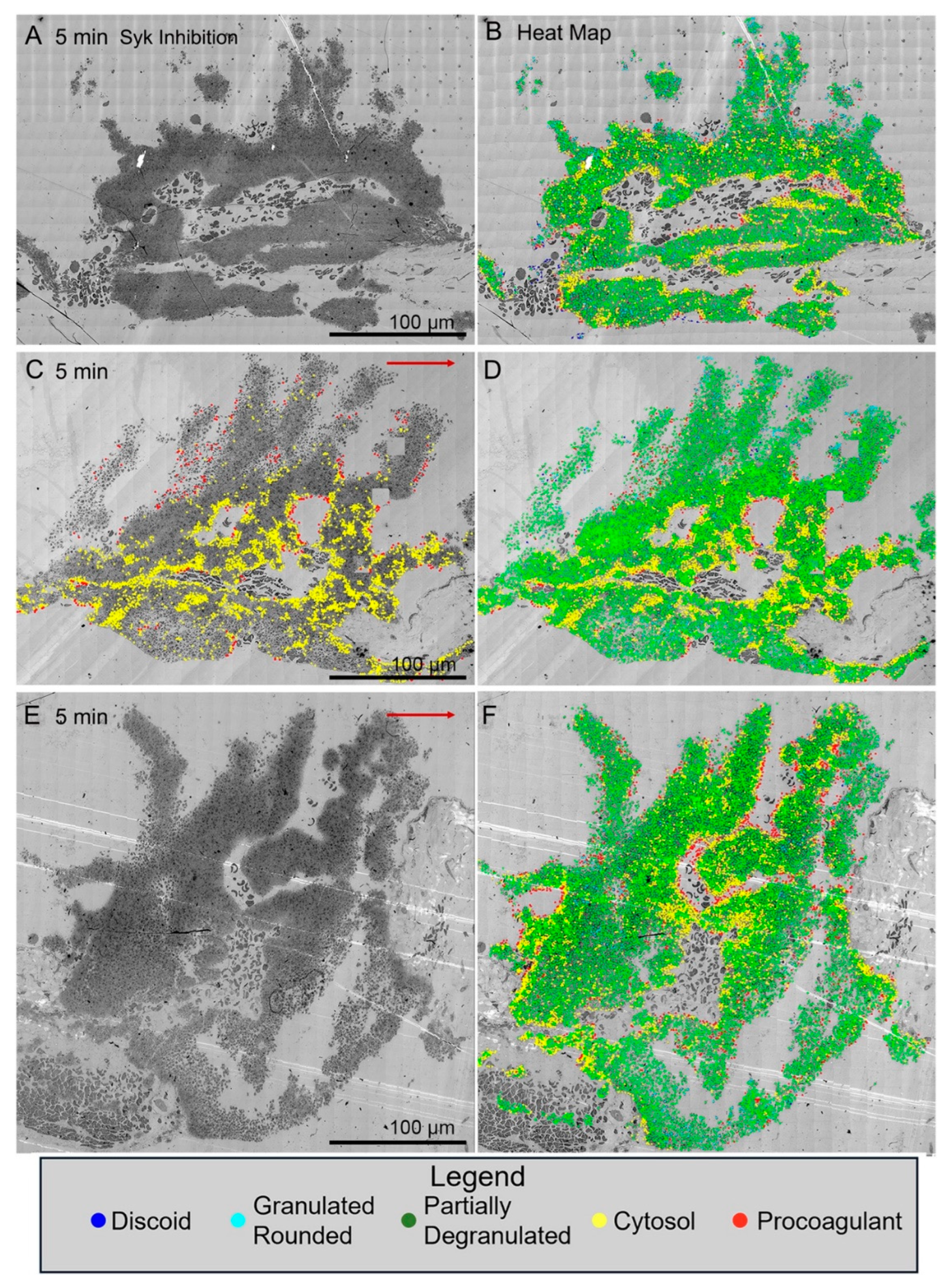 Preprints 147804 g003