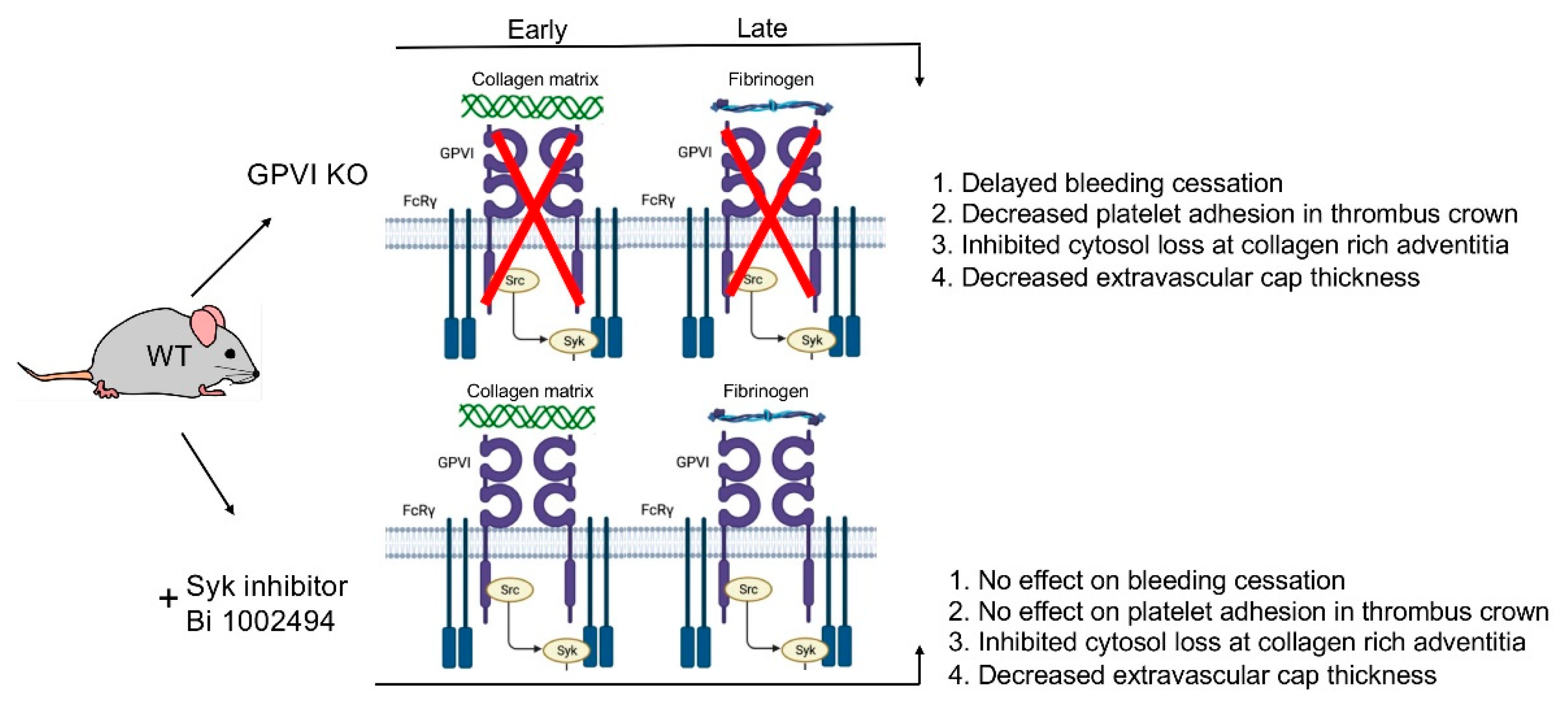 Preprints 147804 g007