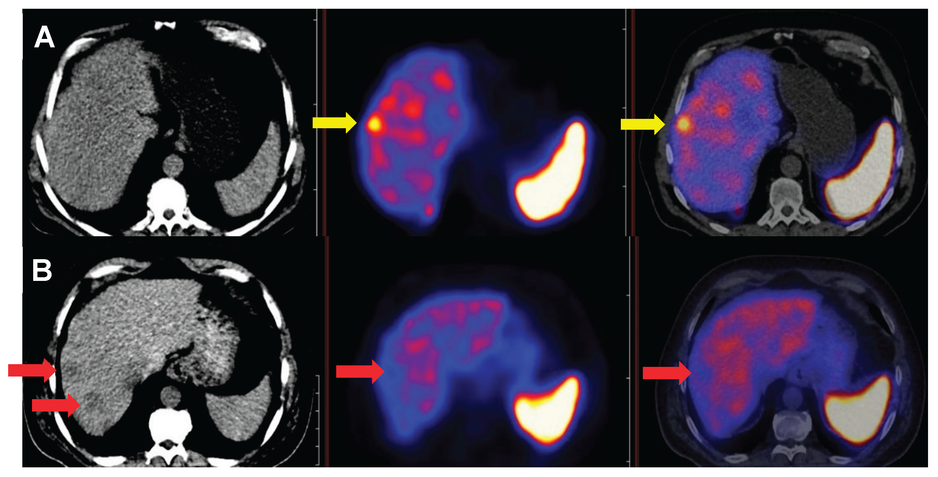 Preprints 174633 g008